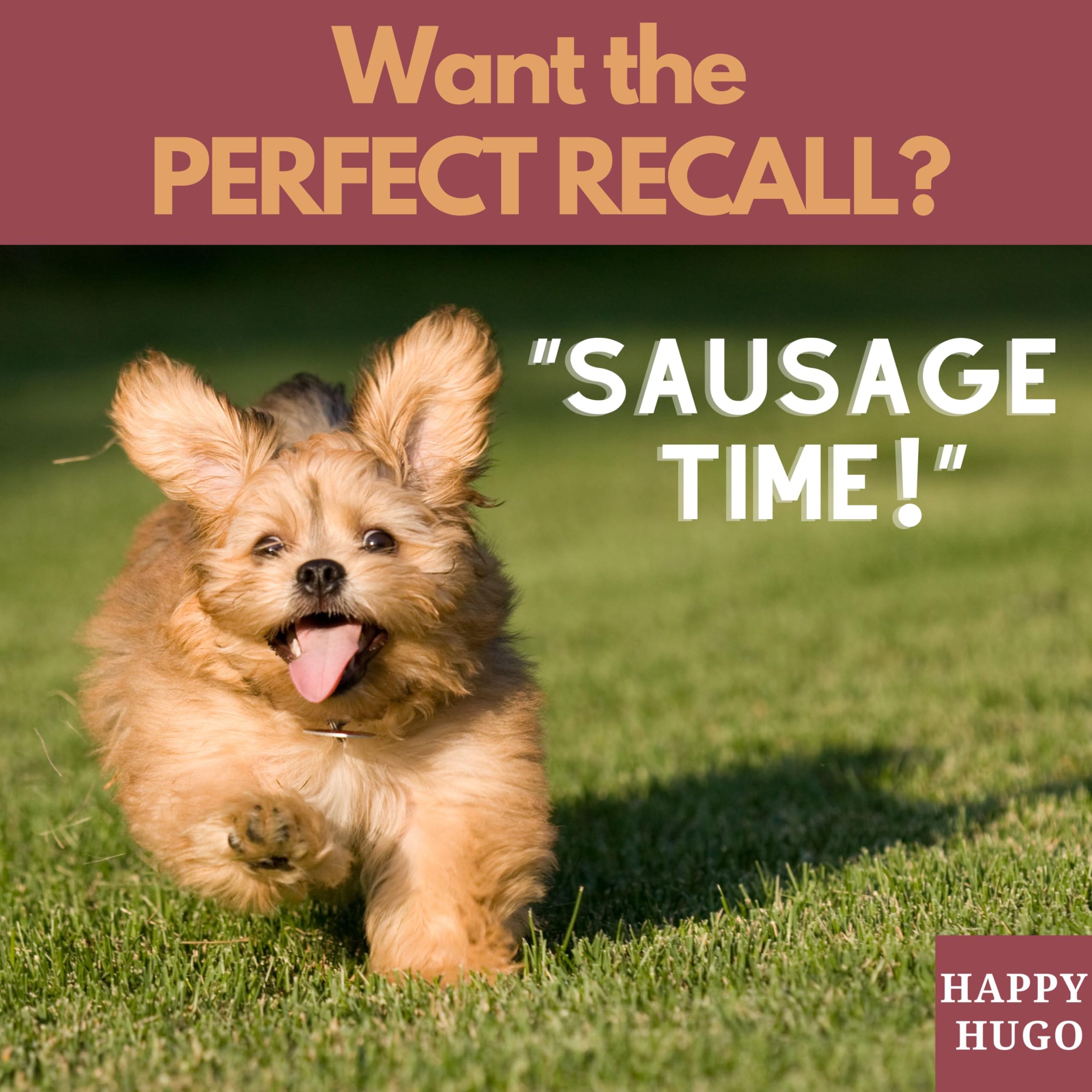 Happy Hugo Sliced Deli Dog Sausages - 100% British Chicken Treats for Dogs 4