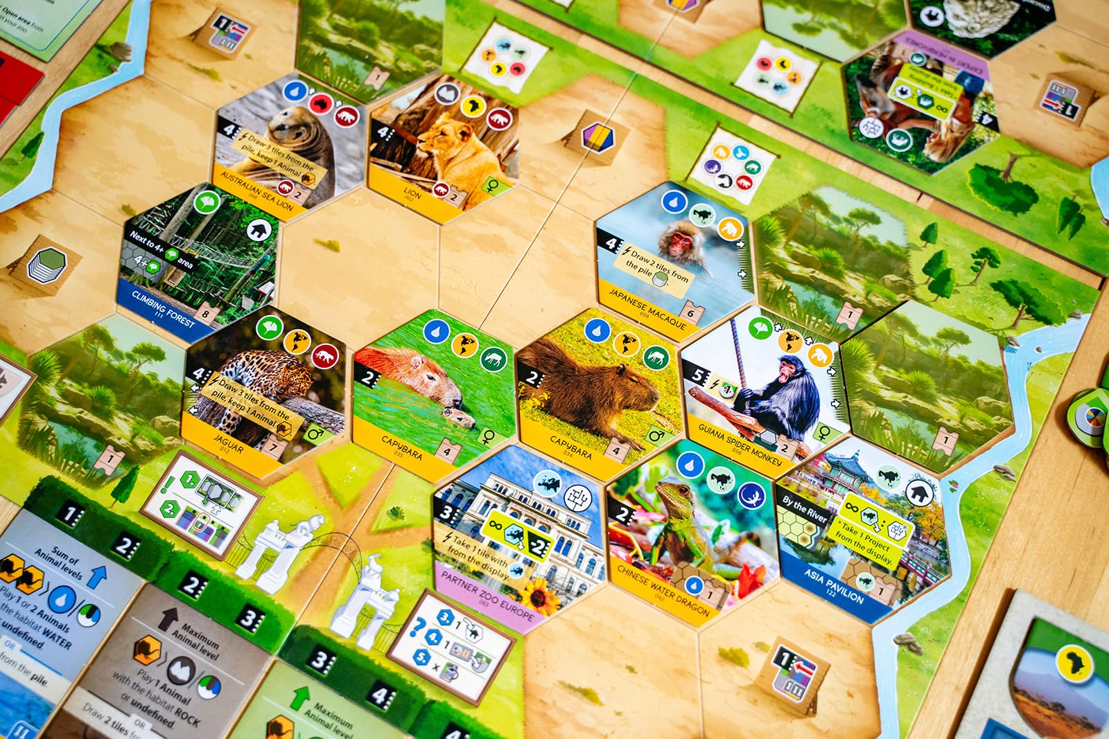 Capstone Games Sanctuary Board Game | 1-5 Players | Ages 12+ | Standard Edition 7