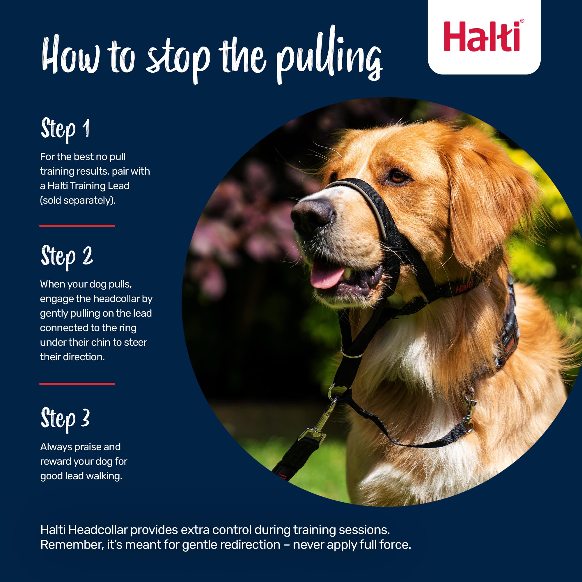 Halti Headcollar - Stops Pulling for Dogs | Size 3 | Forest Green | Reflective 4