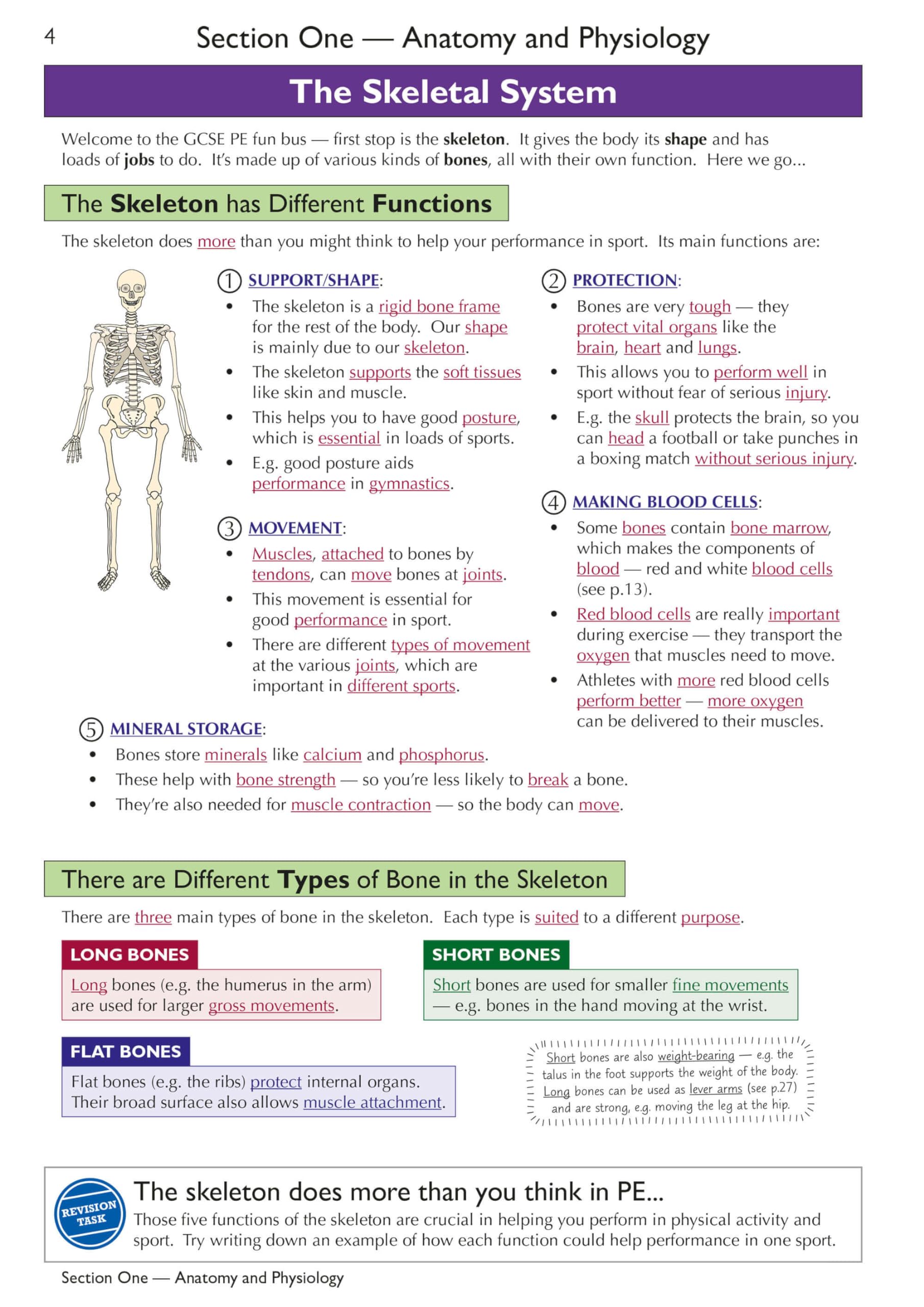 CGP Grade 9-1 GCSE Physical Education AQA Complete Revision & Practice Book | Paperback | 152 Pages