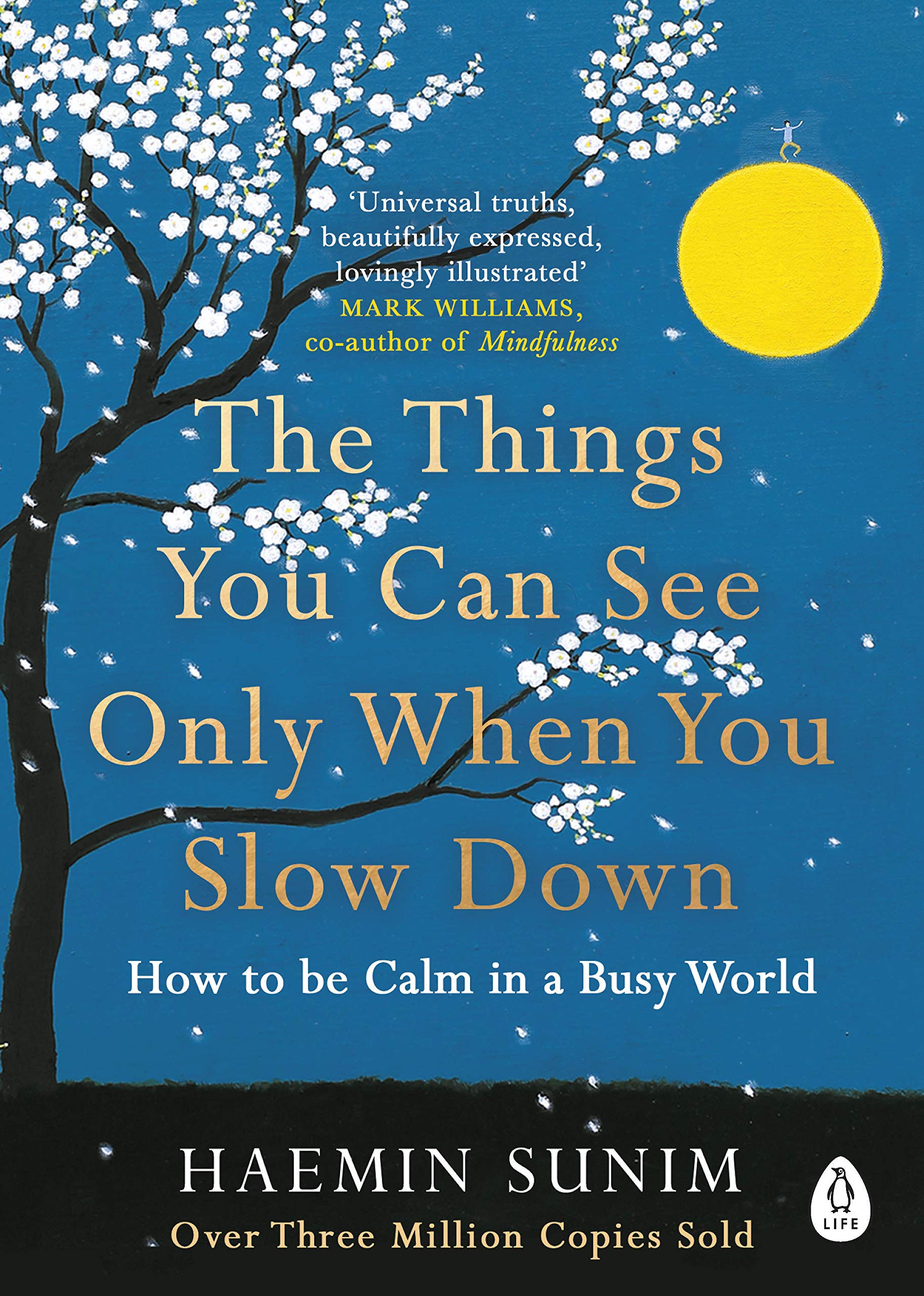 Penguin The Things You Can See Only When You Slow Down by Sunim, Haemin | Philosophy Paperback