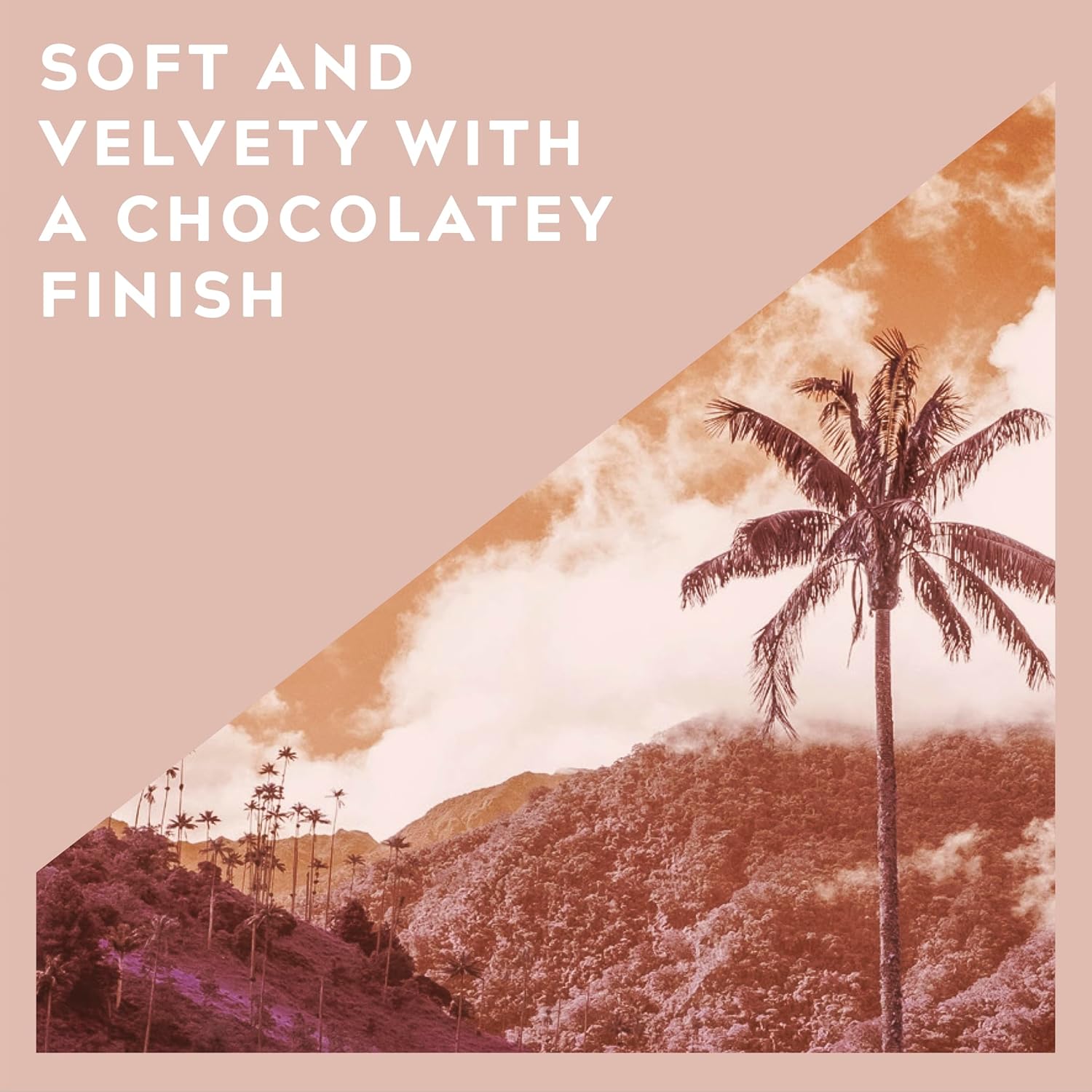 Cafédirect Cauca Valley Colombia Fairtrade Ground Arabica Coffee 227g (Pack of 6) 4