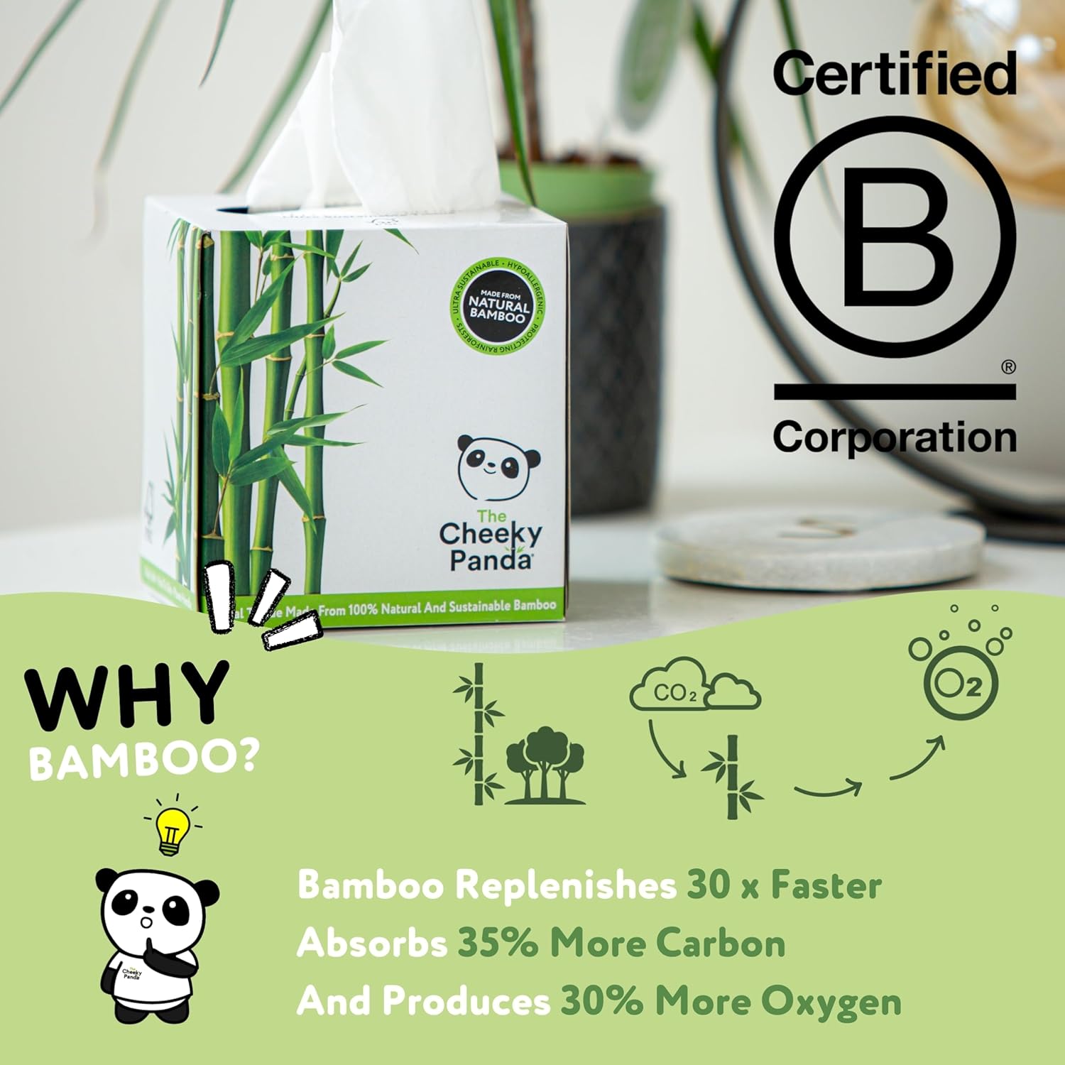 The Cheeky Panda – Bambus-Kosmetiktücher, 12er-Pack | Plastikfreie, hypoallergene Kosmetiktücher 7