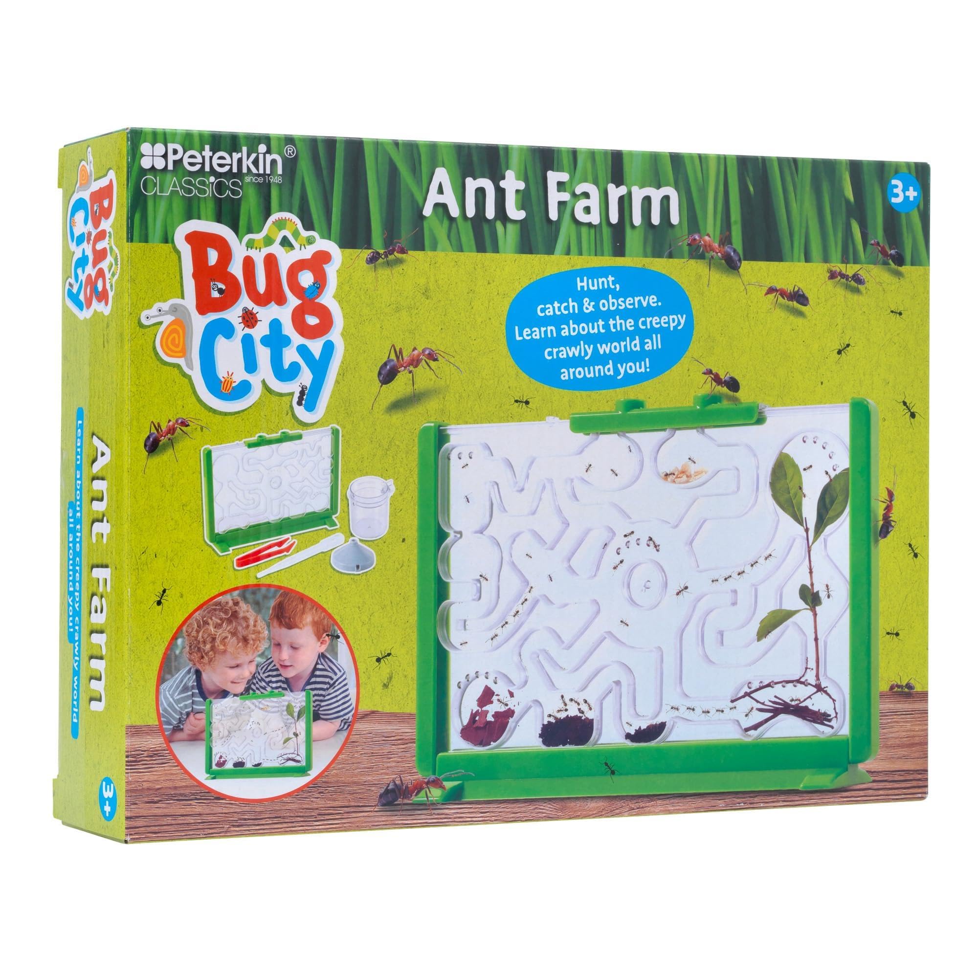 Peterkin Classics Bug City Ant Farm | Educational Science Kit | Unisex Children