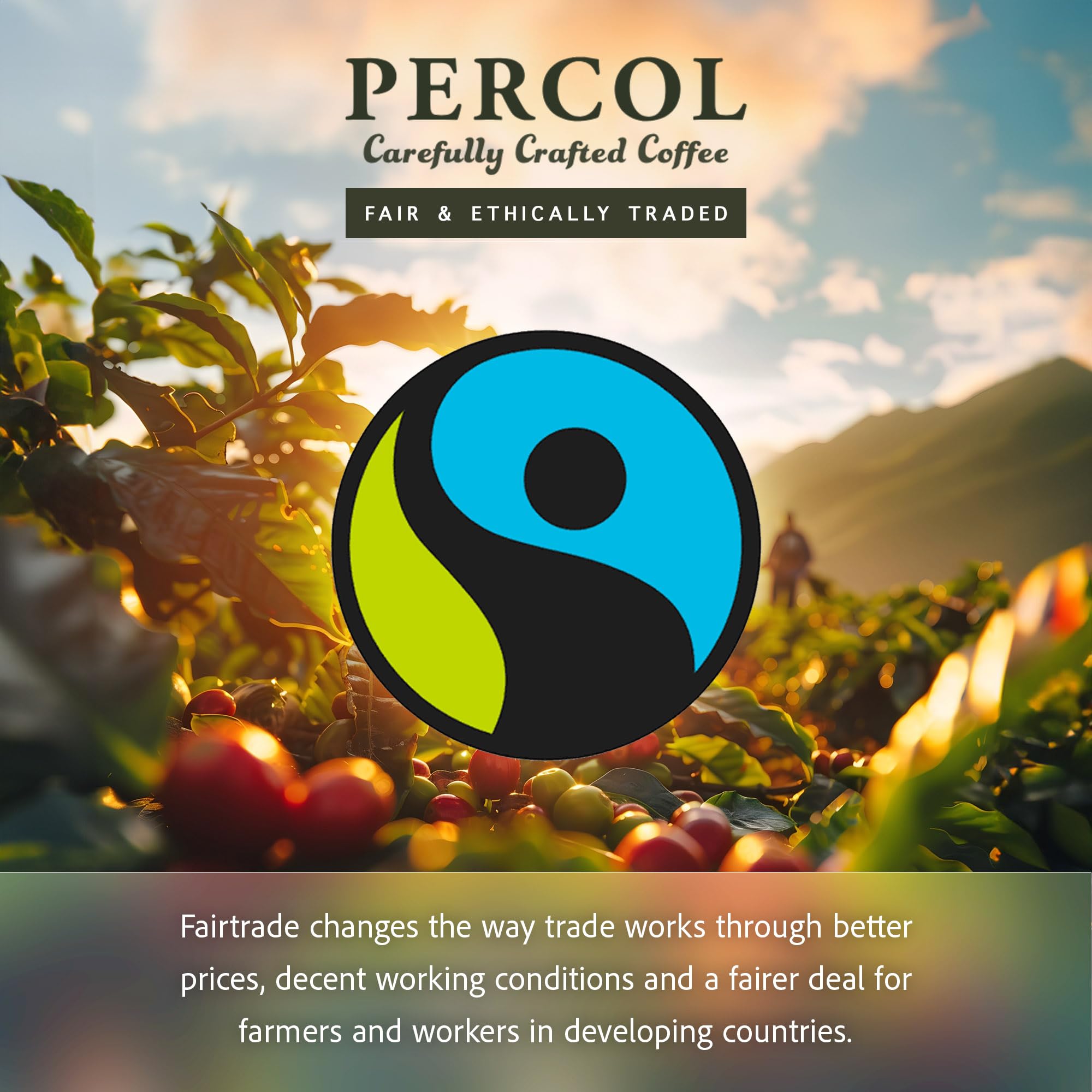 PERCOL Colombian Loose Packed Ground Coffee Bags (80x8g) - Fairtrade Light Roast 4