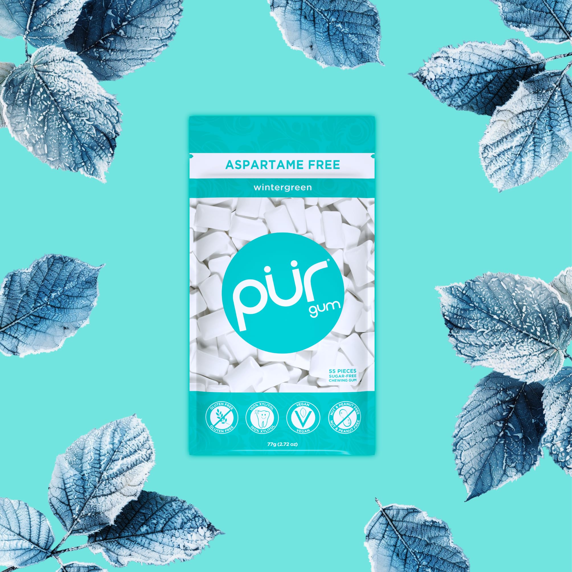 PUR - Natural Wintergreen Sugar-Free Chewing Gum (55 Pieces, Pack of 3) 6