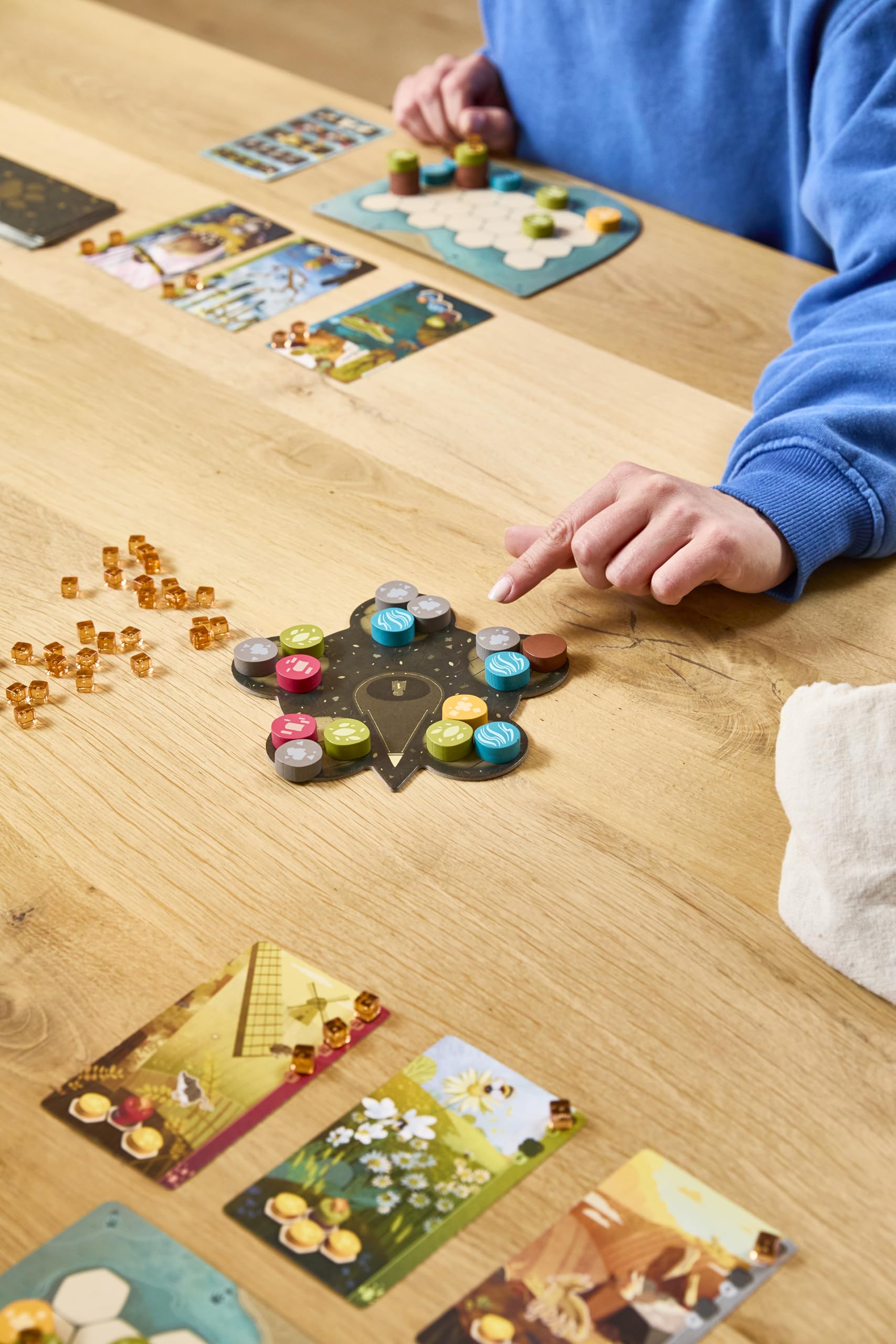 Libellud Harmonies Board Game 12