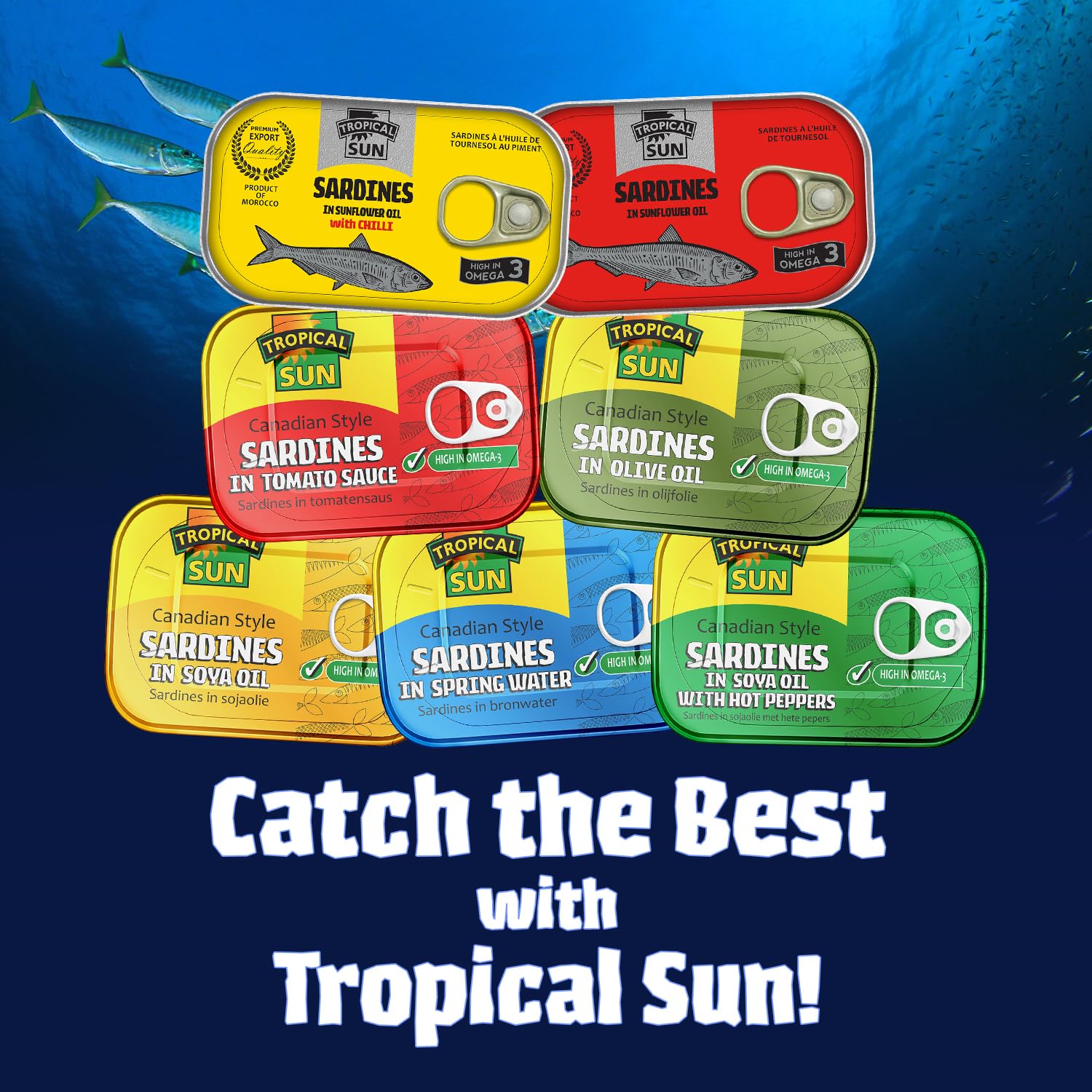 Tropical Sun Canadian-Style Sardines in Tomato Sauce, 106g (Pack of 12) 4