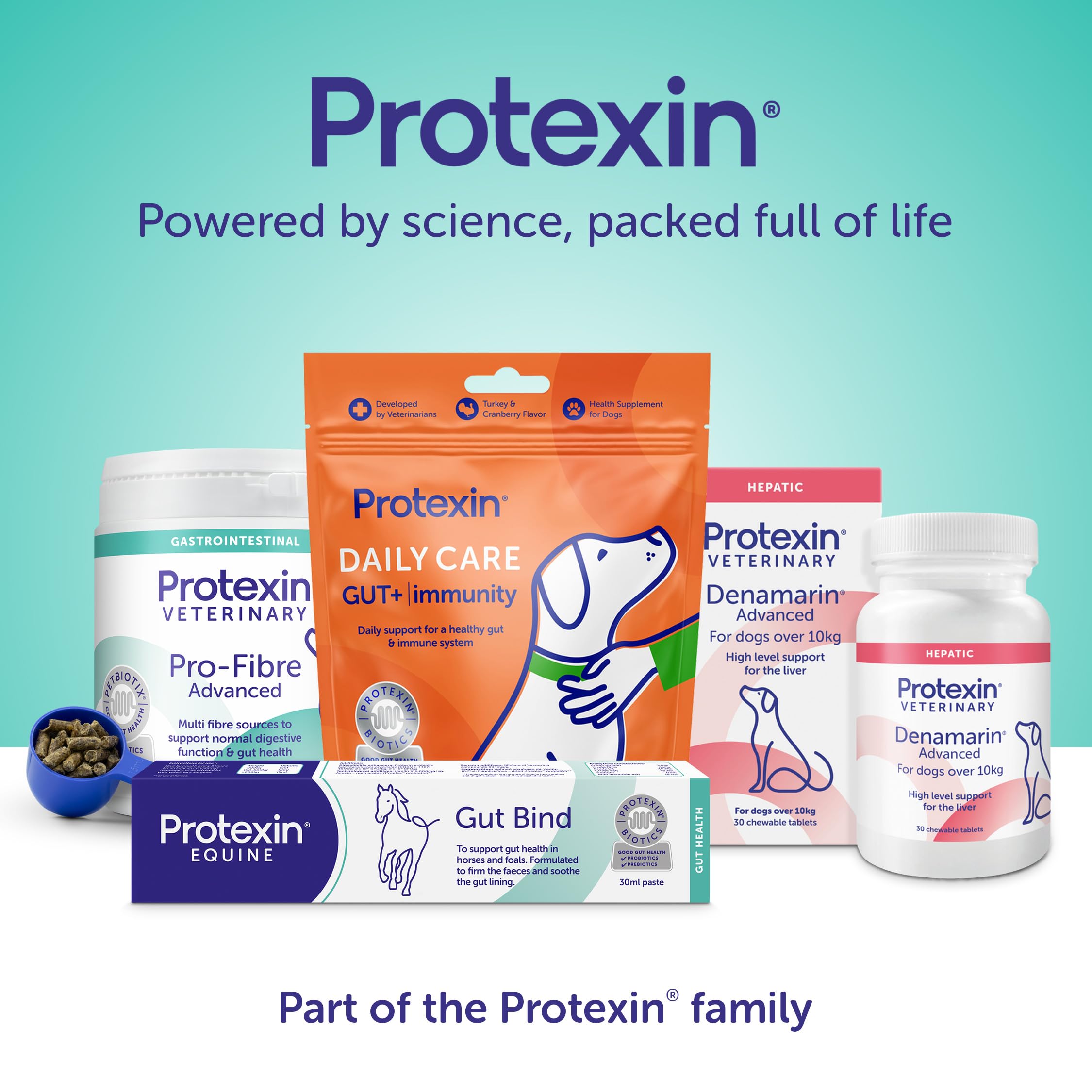 Protexin Pro-Kolin Probiotic Paste for Dogs & Cats - Digestive Support | 15ml | Beef Flavour 7