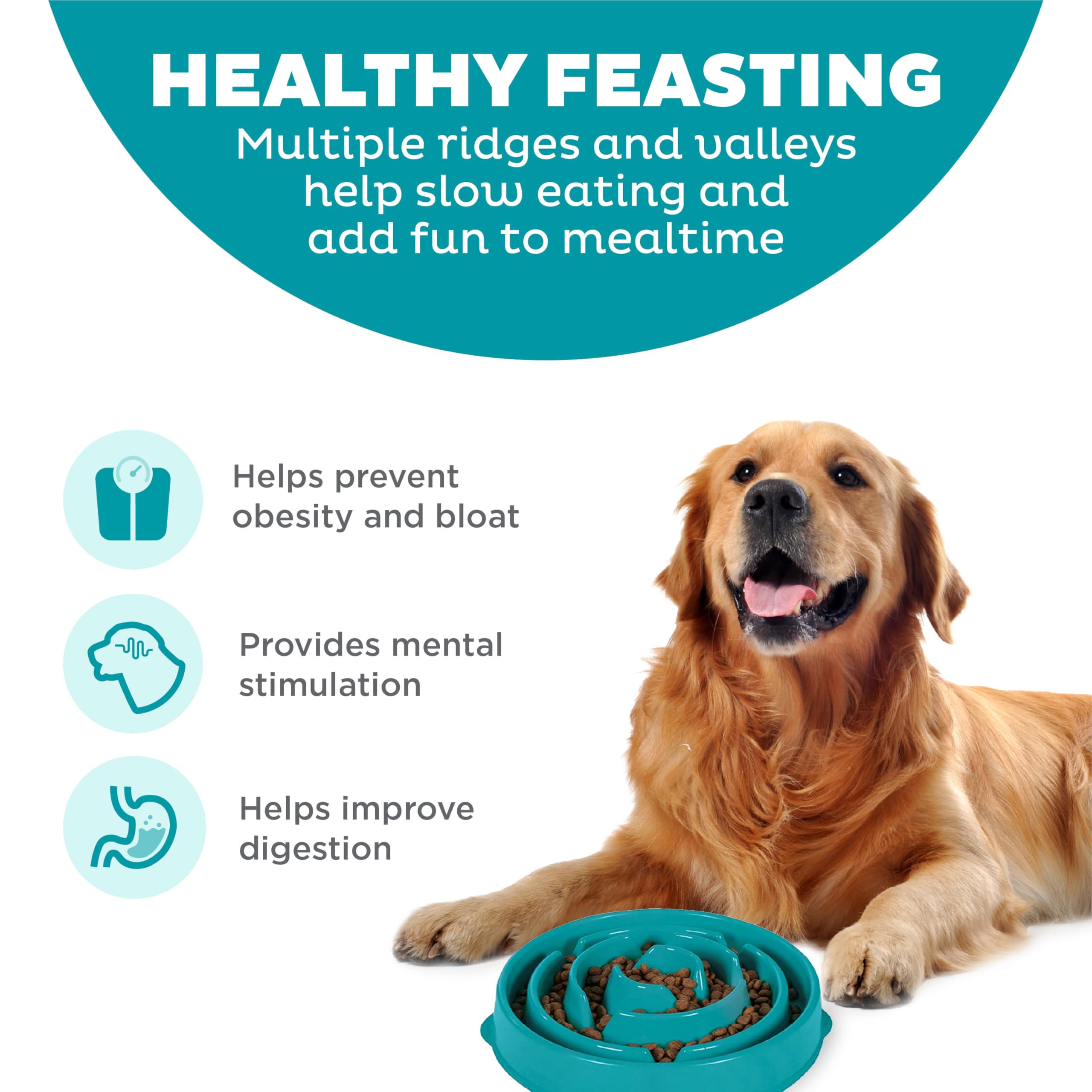 Outward Hound Slow Feeder Dog Bowl - Large Size, Turquoise | Slows Eating 10X | Non-Slip Base