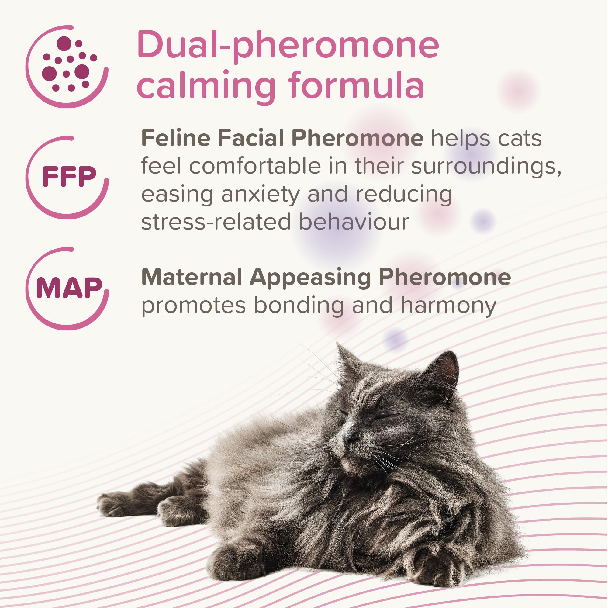 Beaphar CatComfort Excellence Refill – 30 Day Pheromone Calming for Cats | 48Ml 4