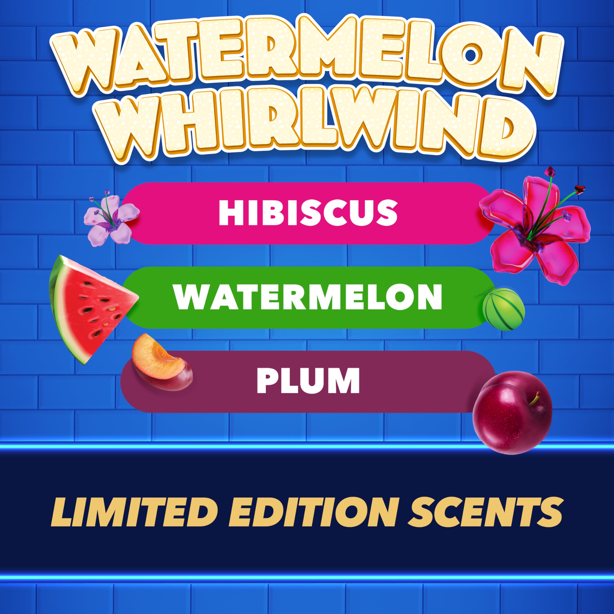 DUCK Fresh Discs Toilet Cleaner Refill Twin Pack Watermelon Whirlwind 5 Count 4