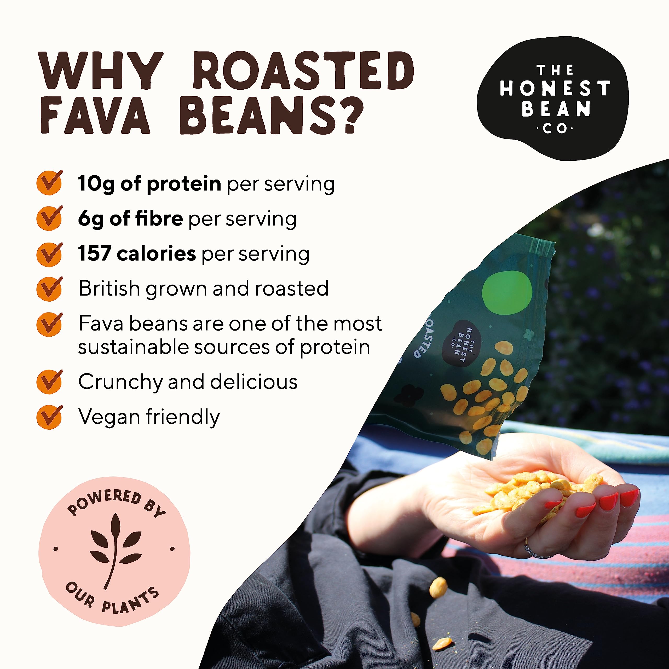 The Honest Bean Co Roasted Fava Bean Variety Pack - Lightly Salted, Sea Salt & Cider Vinegar, BBQ, Chilli Lemon, Seaweed & Miso, Black Garlic & Herb 11
