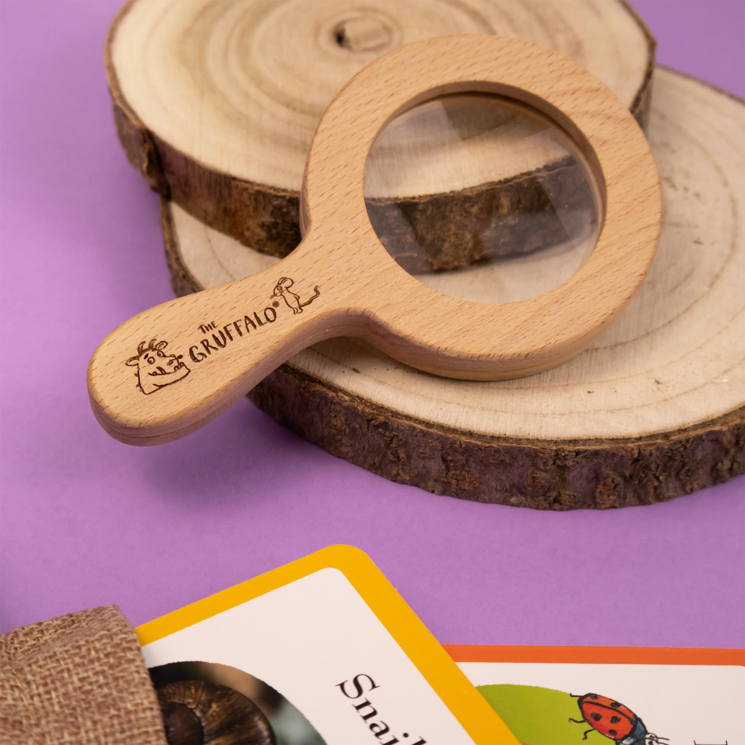 The Gruffalo Bug Spotter Activity Set - Nature Exploration for Kids 5