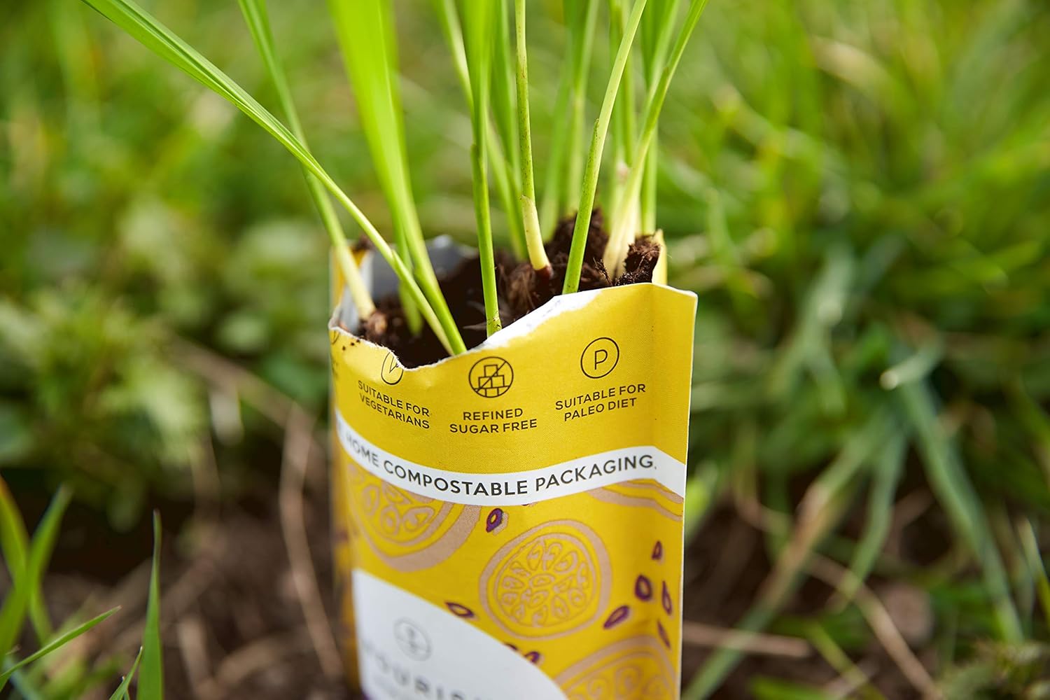 Nourish Bio-Kakao-Kokos-Makronen – Veganer, glutenfreier Keto-Snack 3