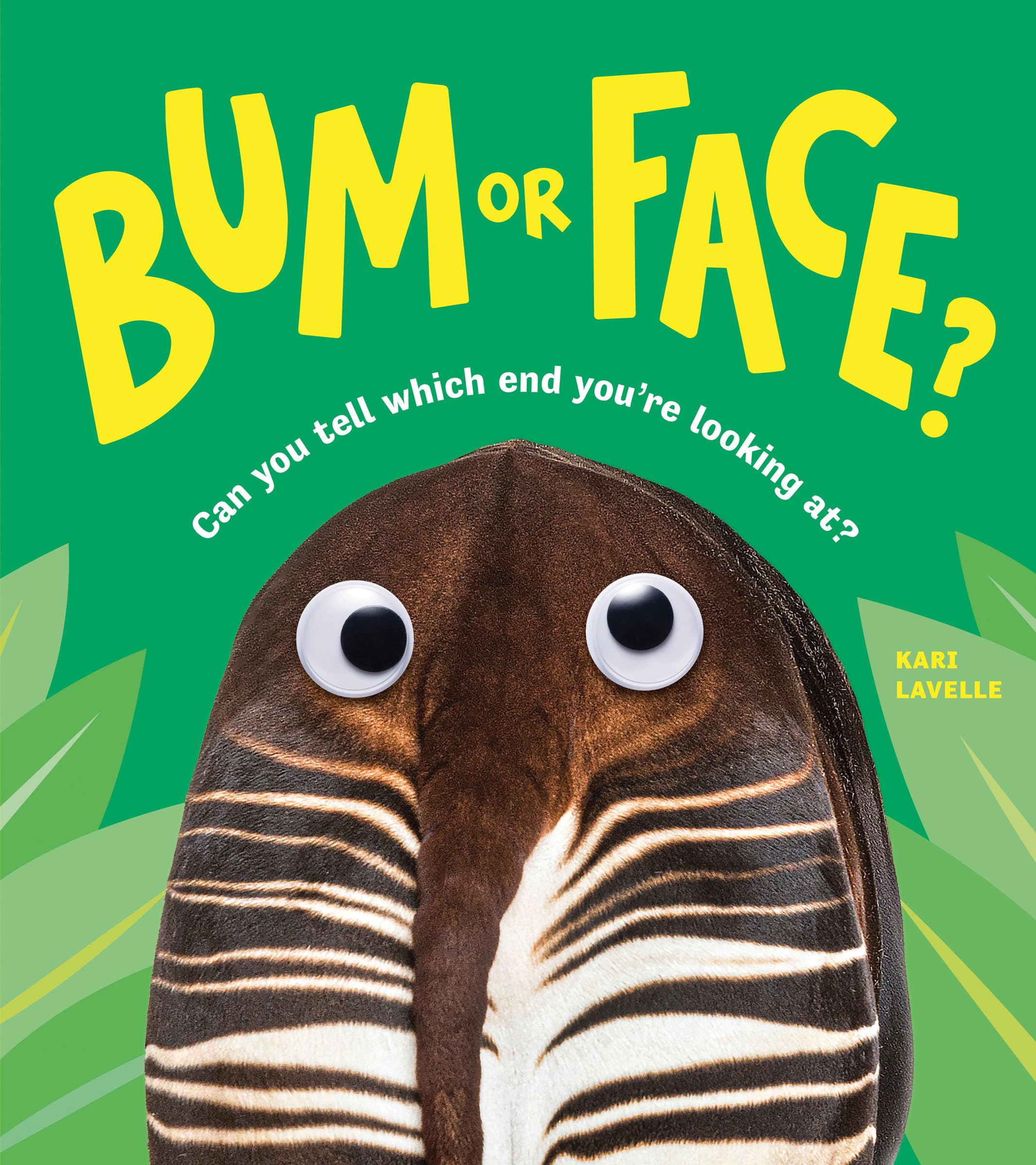 Sourcebooks Explore Bum or Face? Picture Book | Ages 5-9 | Paperback 1