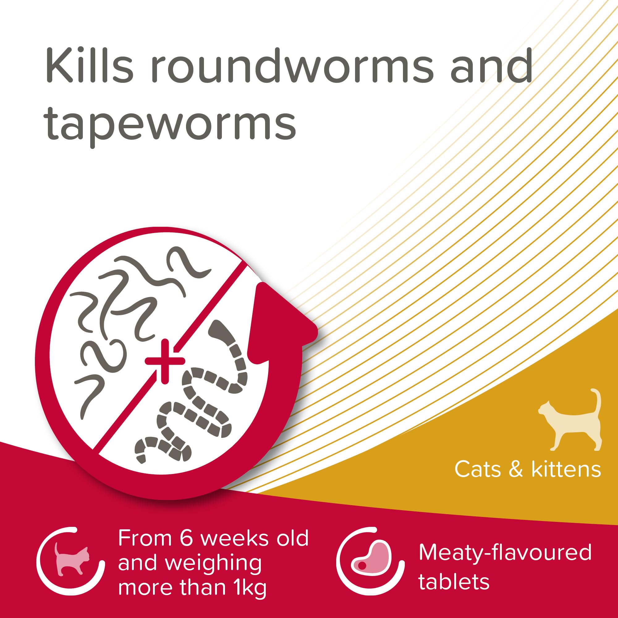 Beaphar WORMclear Tablets for Cats - Kills Common UK Worms | 4 Tablet Pack 3
