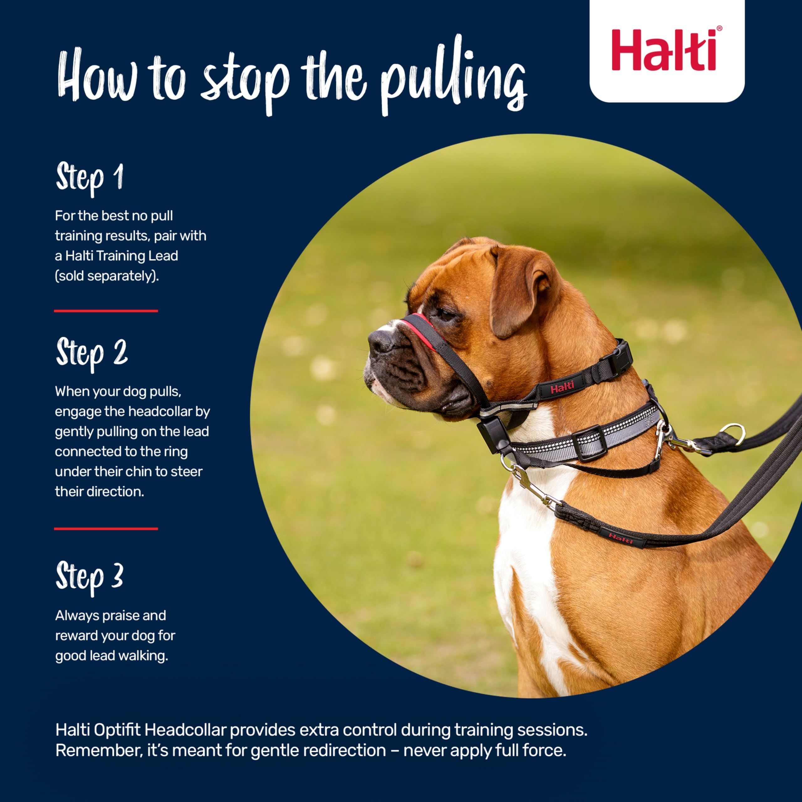 Halti Optifit Headcollar - Stops Pulling, Adjustable Fit | Size Large, Black 4