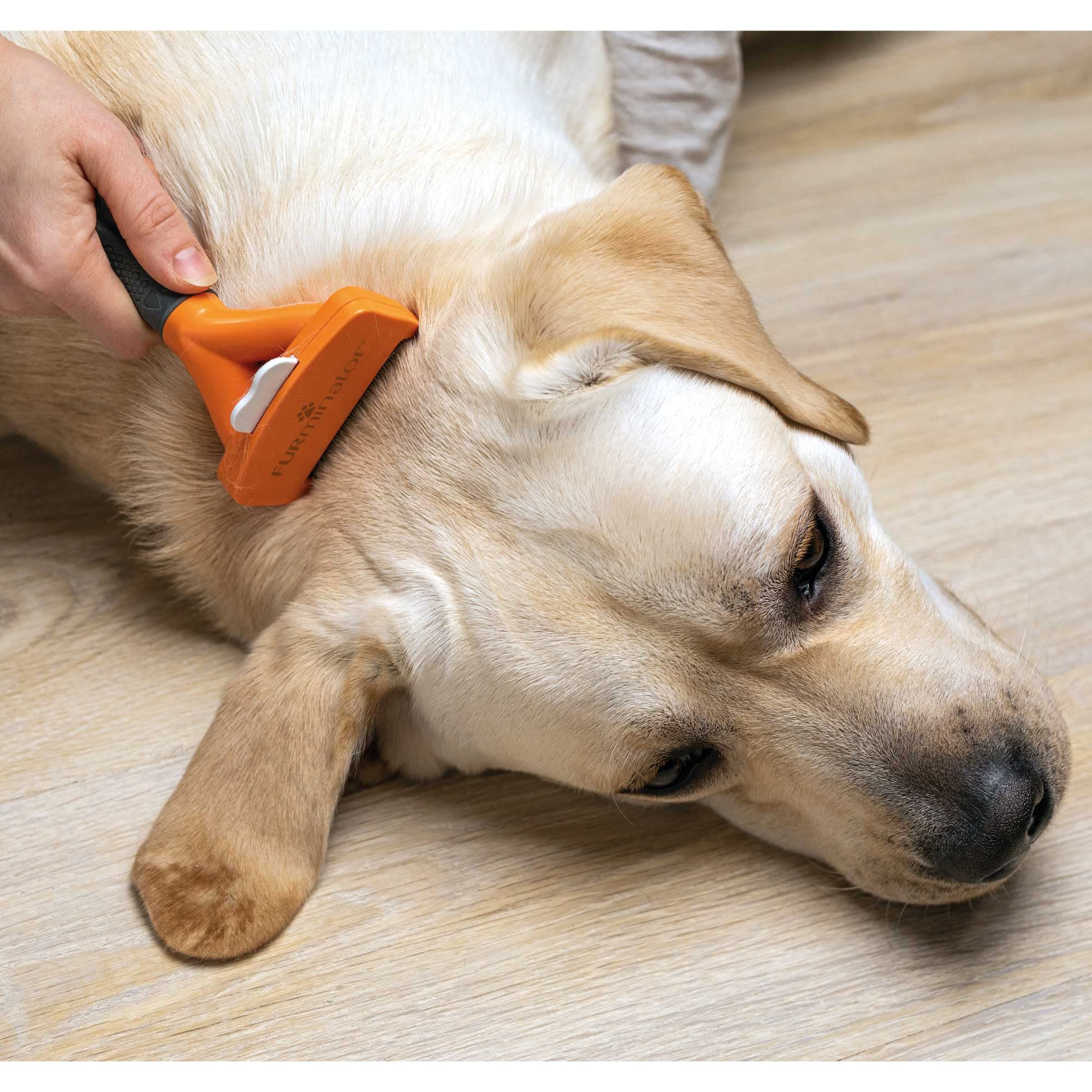 FURminator Undercoat deShedding Tool - Small Short Hair Dogs (4.5-9 kg) 4