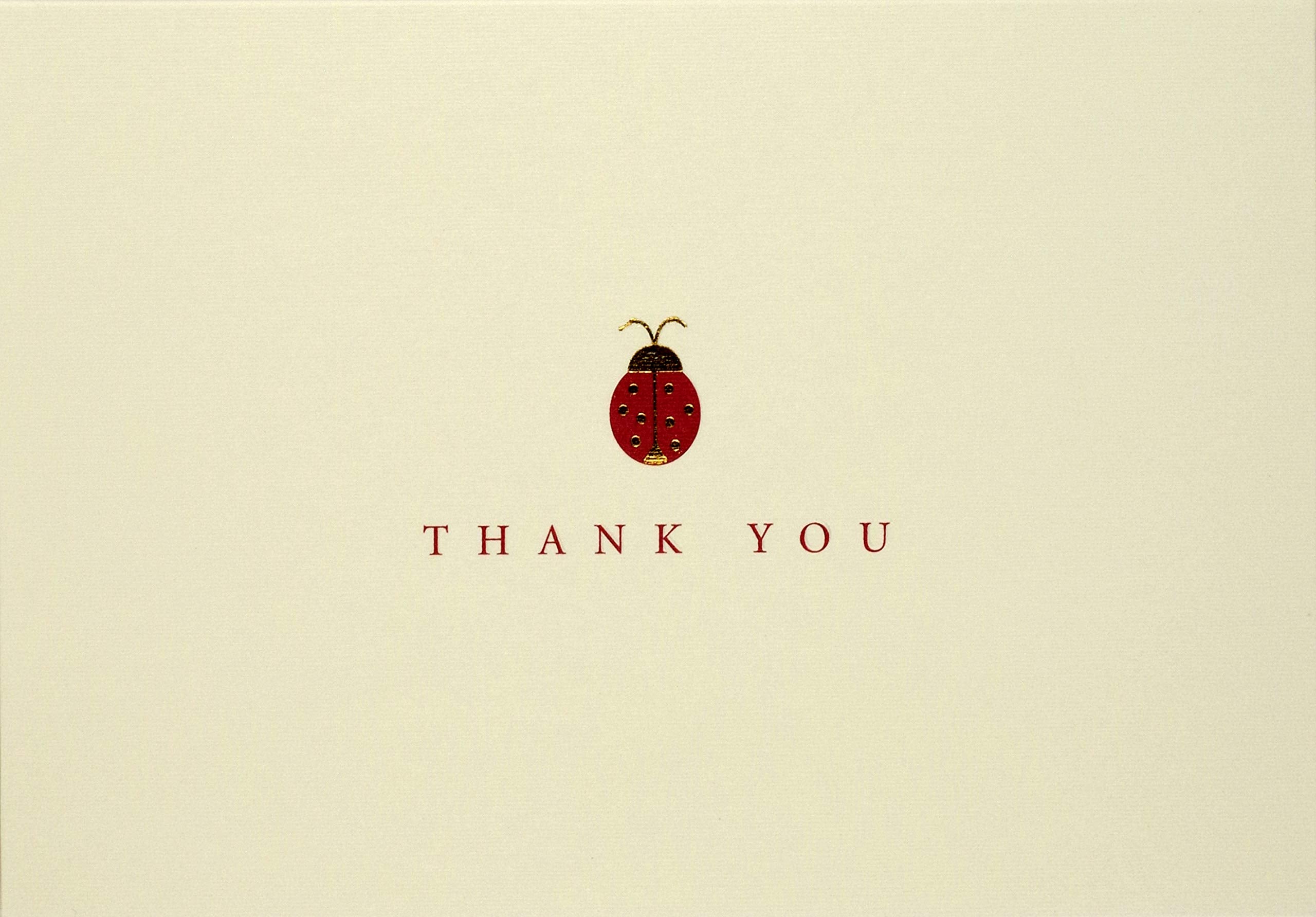 Peter Pauper Press Lady Bug Thank You Notes - 14 Cards & 15 Envelopes | Blank Interior | 5" x 3.5" 1