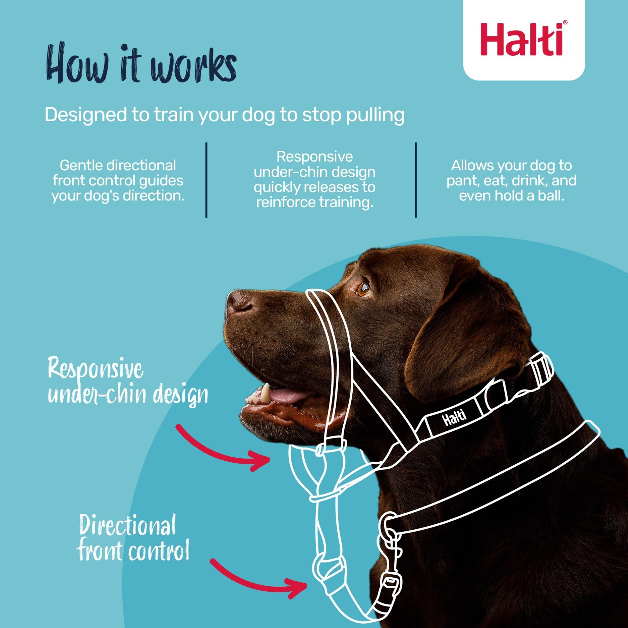 Halti Headcollar - Stop Pulling for Medium Dogs | Size 3, Deep Walnut, Reflective