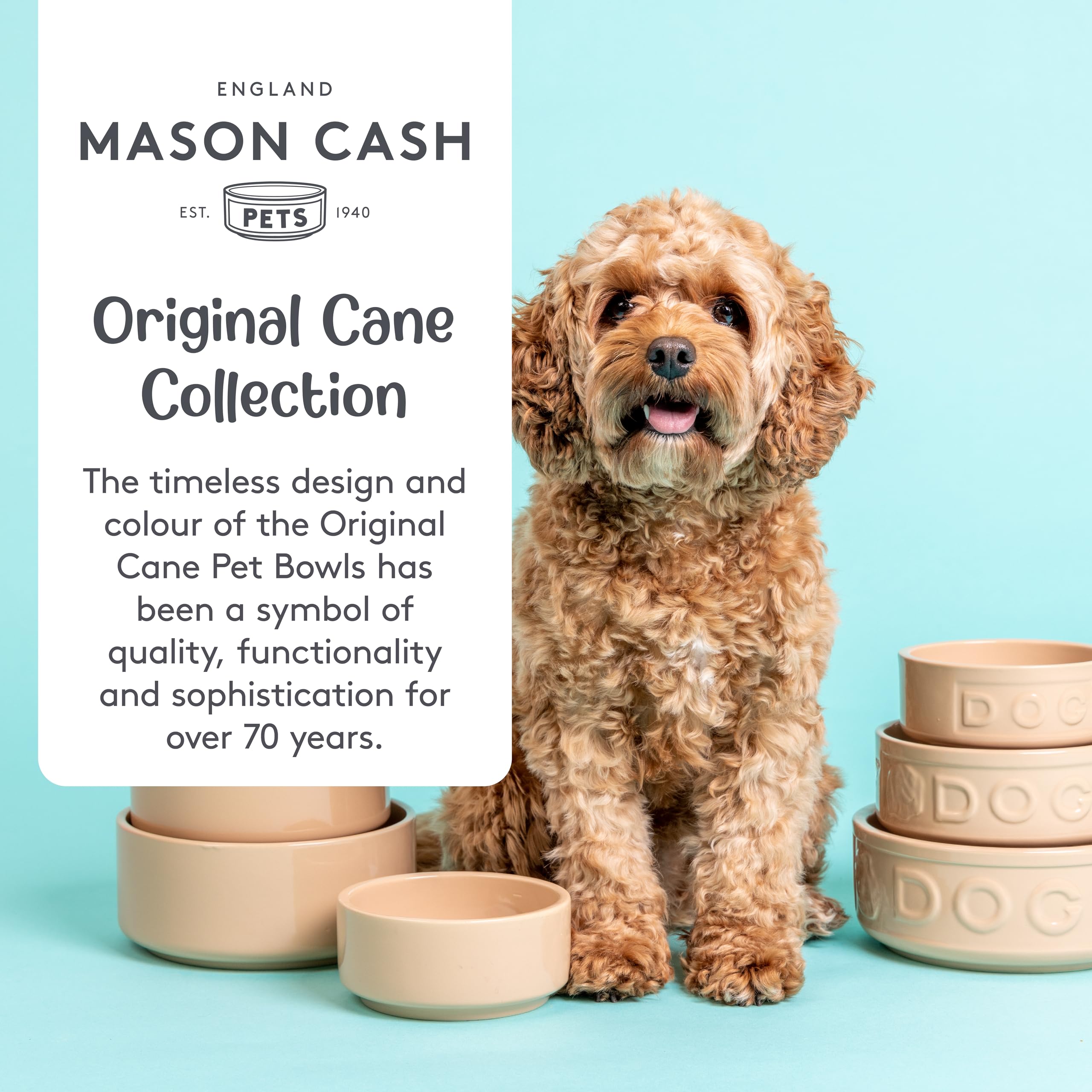 Mason Cash Cane Lettered Stoneware Dog Bowl - 1.2L Capacity | Durable | Medium/Large Breeds 6