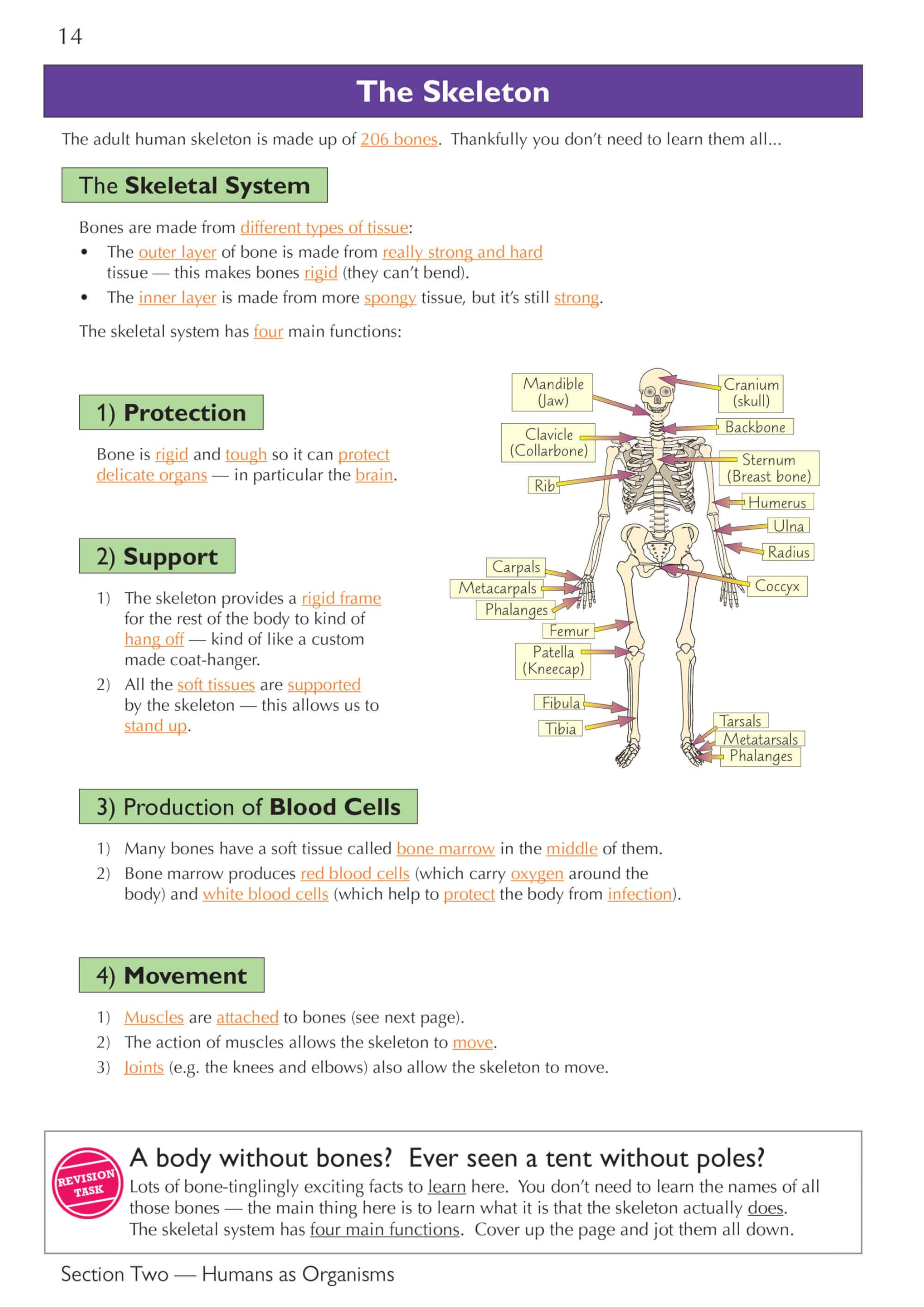 CGP KS3 Science Complete Study & Practice Guide - Higher Level | Paperback | 208 Pages 8