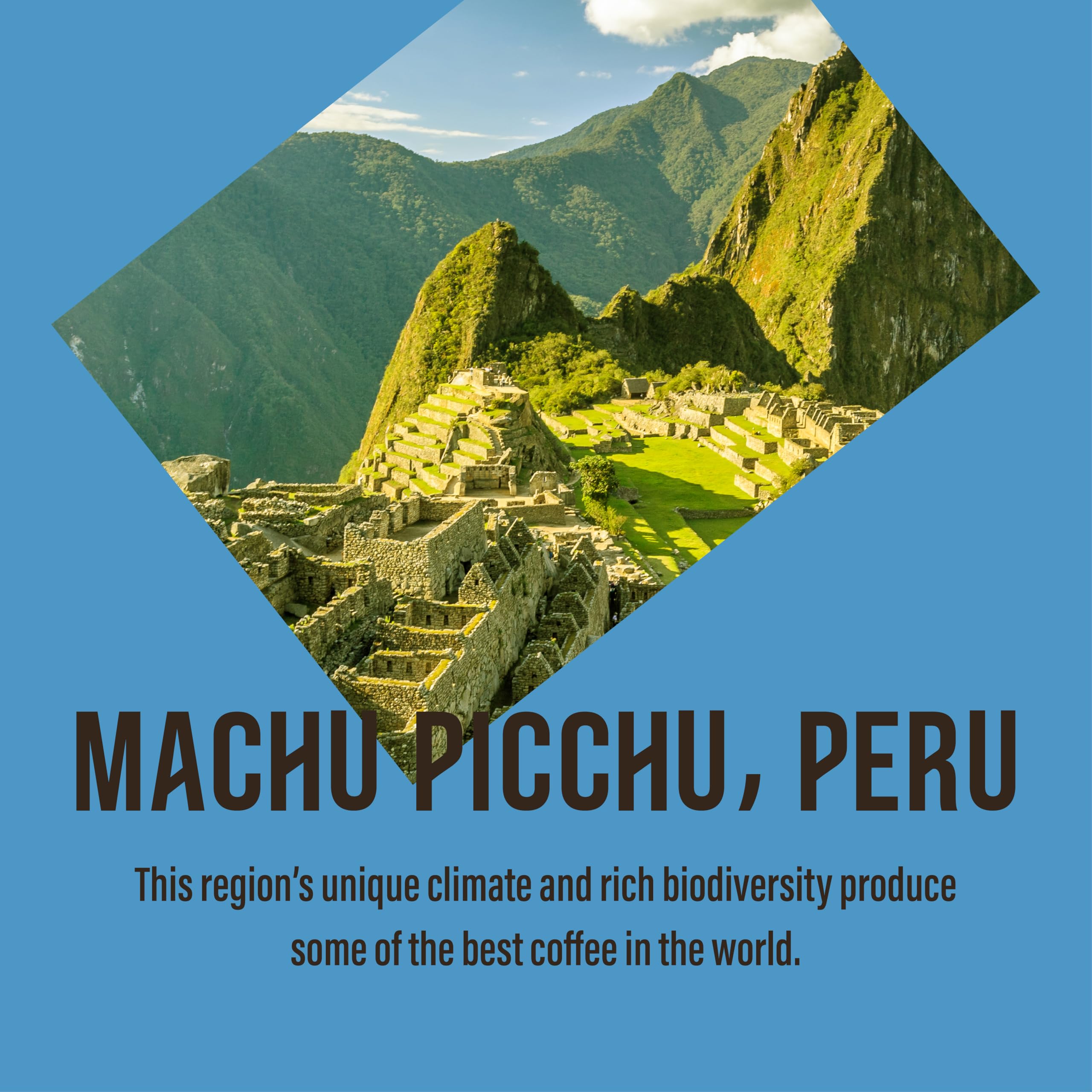 Cafédirect Machu Picchu Decaf Fairtrade Arabica Coffee Bags 10 x 7g 5
