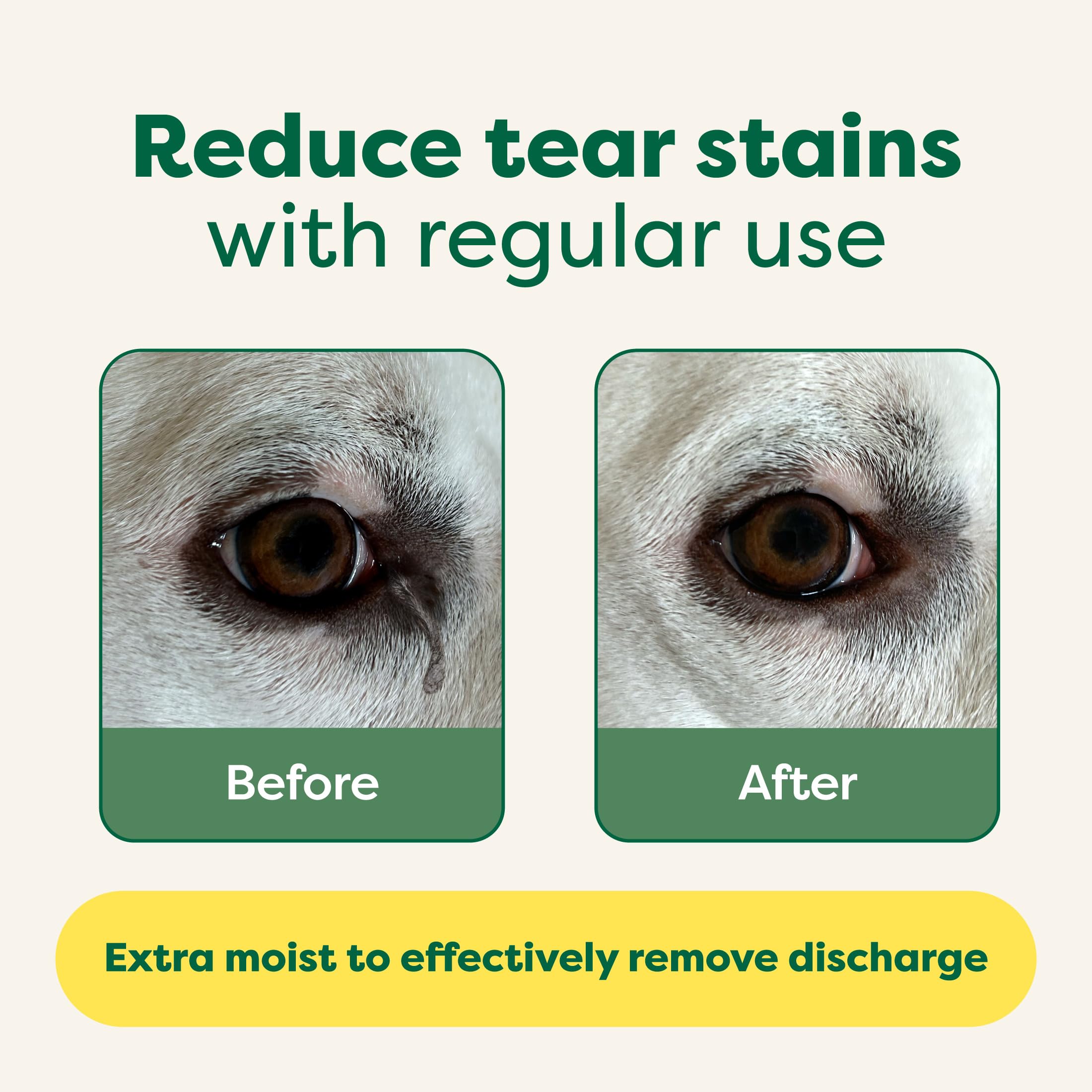 Earth Rated Vet-Developed Hypoallergenic Pet Eye Wipes for Dogs | Unscented, 70 Count 3