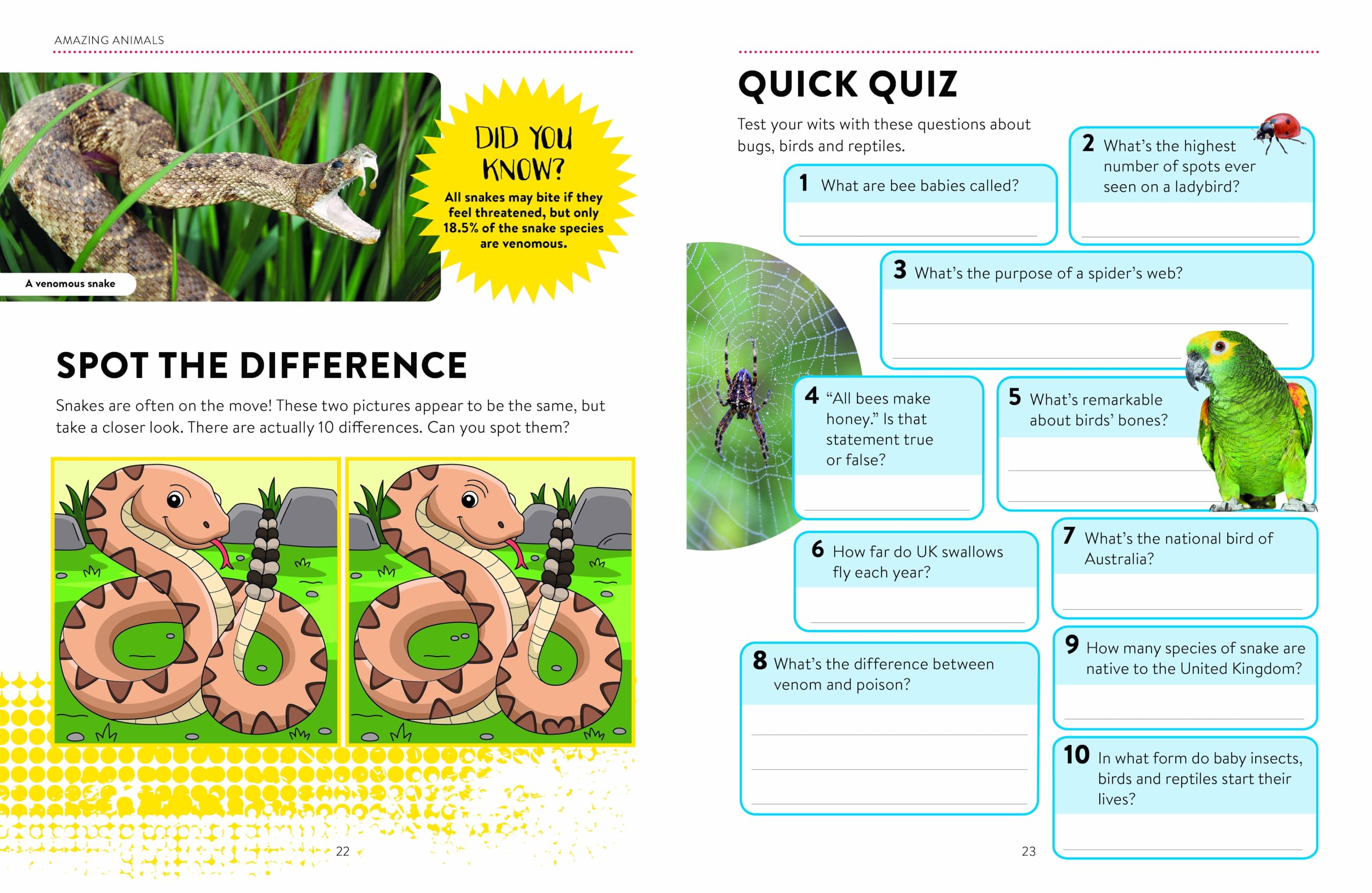 The Week Junior Bloomsbury Ultimate Puzzles and Quizzes Book | 224 Pages | Ages 9-12 3