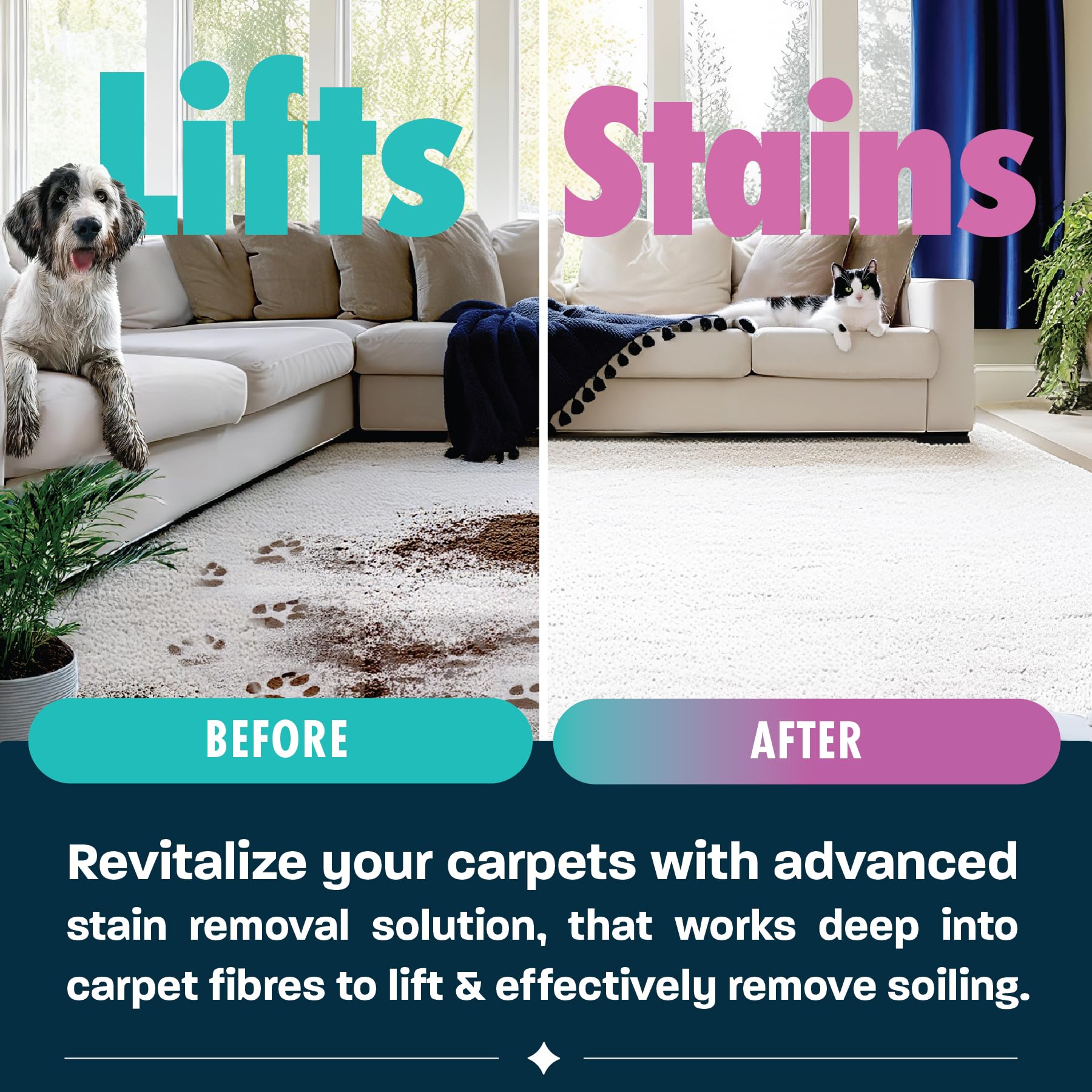 Dirtbusters - Pet Pro Carpet Cleaner Shampoo (1 Litre Concentrate) 10