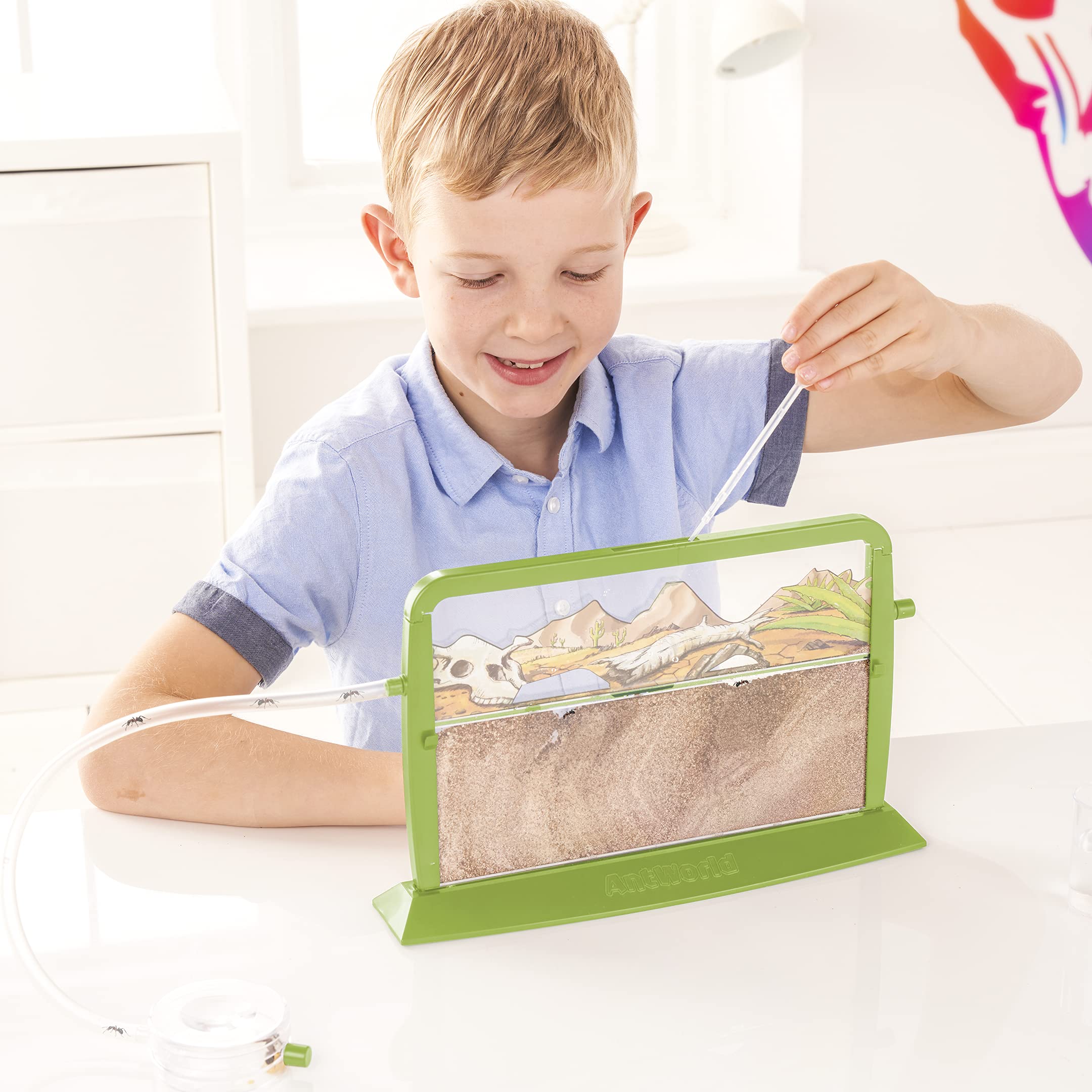 My Living World Ant World - Educational Science Playset for Kids 6
