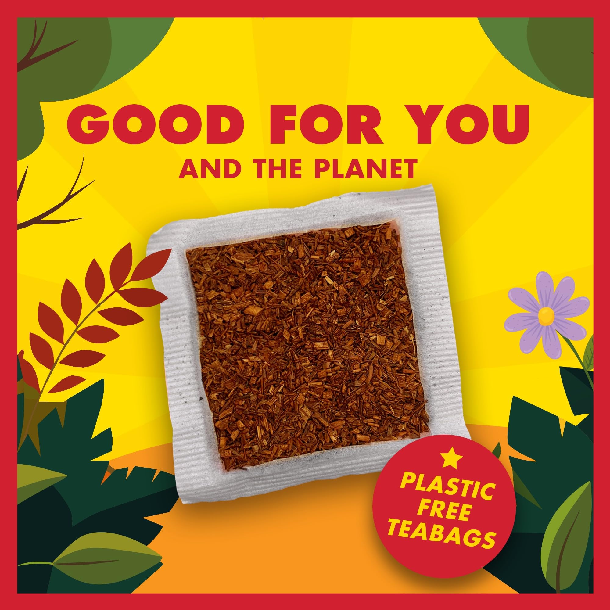 BOS Bio Rooibos koffeinfreier Teebeutel Dose, 40 Teebeutel, 100g 6