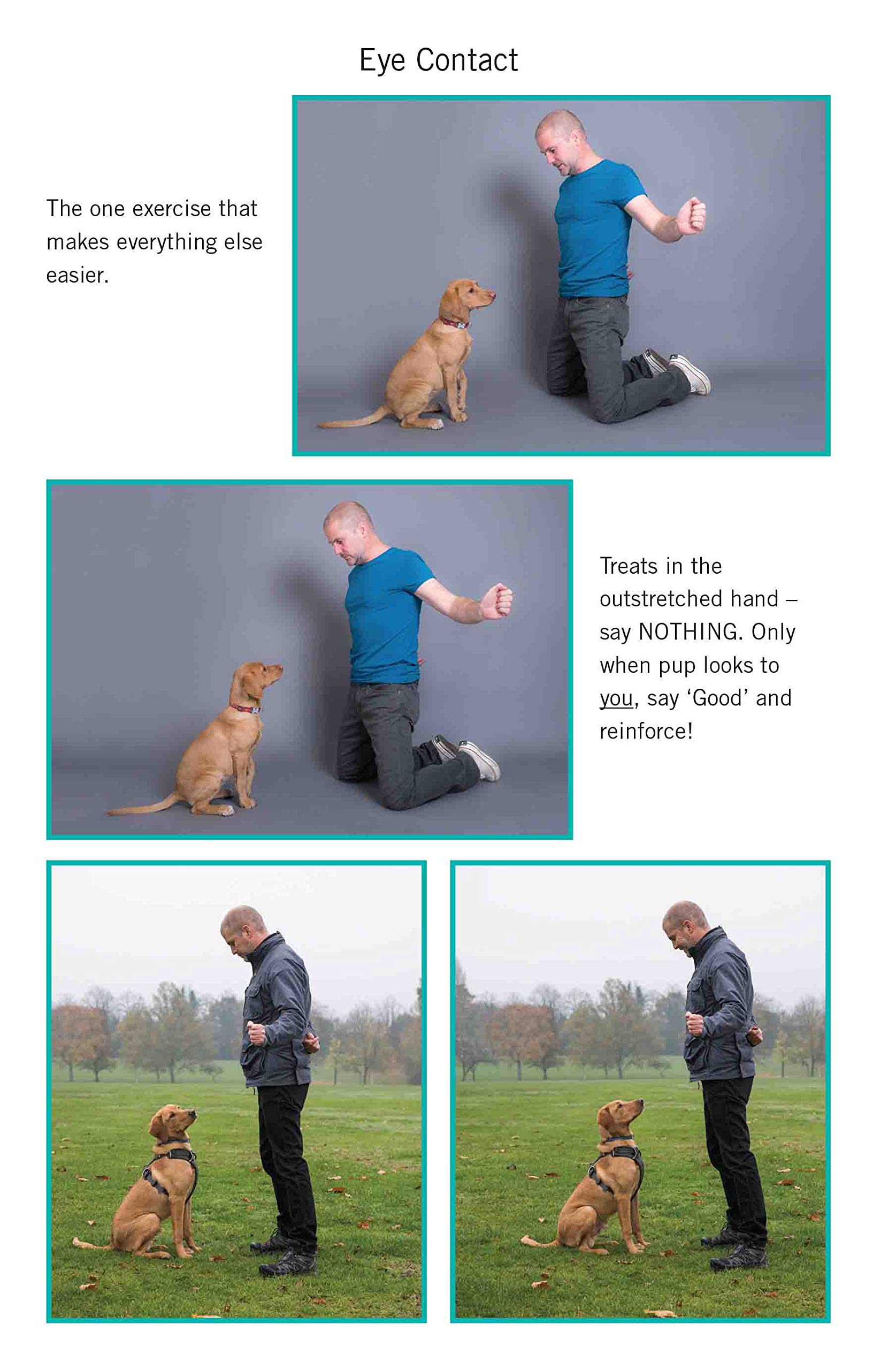 Blink Publishing Easy Peasy Puppy Squeezy - UK's No.1 Dog Training Book by Steve Mann 3