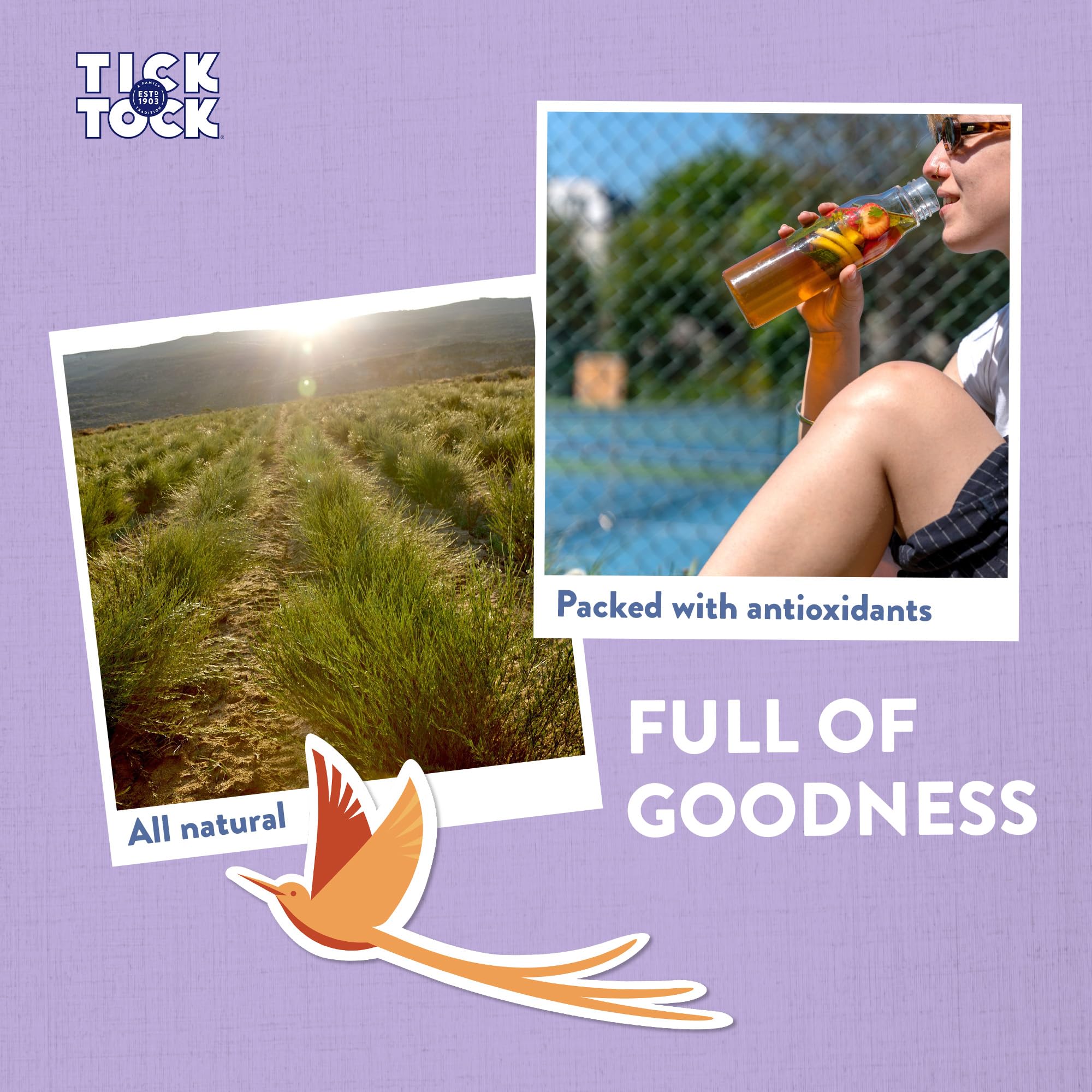 Tick Tock Earl Grey Rooibos Tea - Naturally Decaf Tea Bags 6