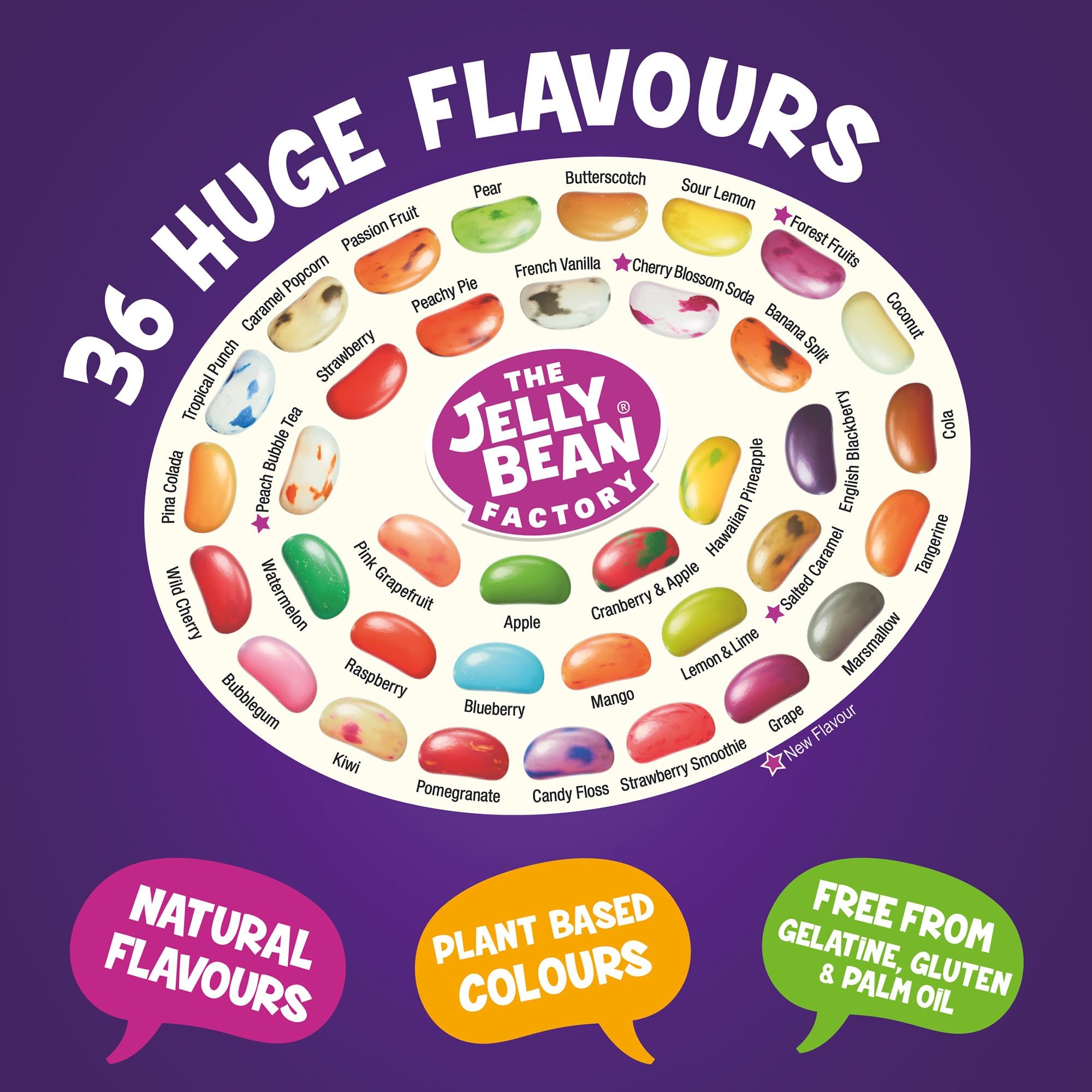 The Jelly Bean Factory Gourmet Jelly Beans Gift 380g Can - Bulk Gluten Free Sweets 6