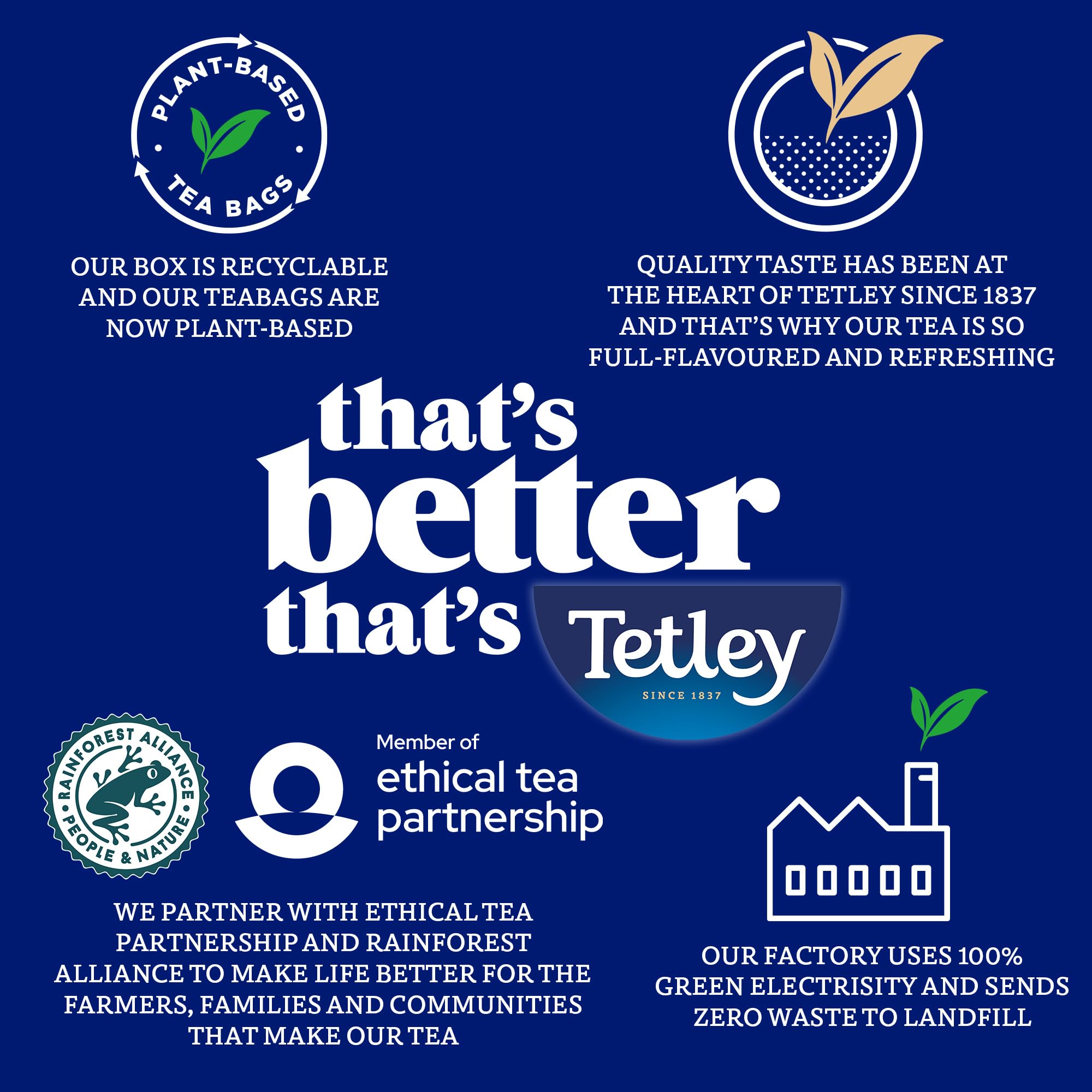 Tetley Extra Starker Schwarztee in Beuteln – 450 Beutel (6 x 75) – Kräftige Assam-Mischung, Rainforest Alliance-zertifiziert 7