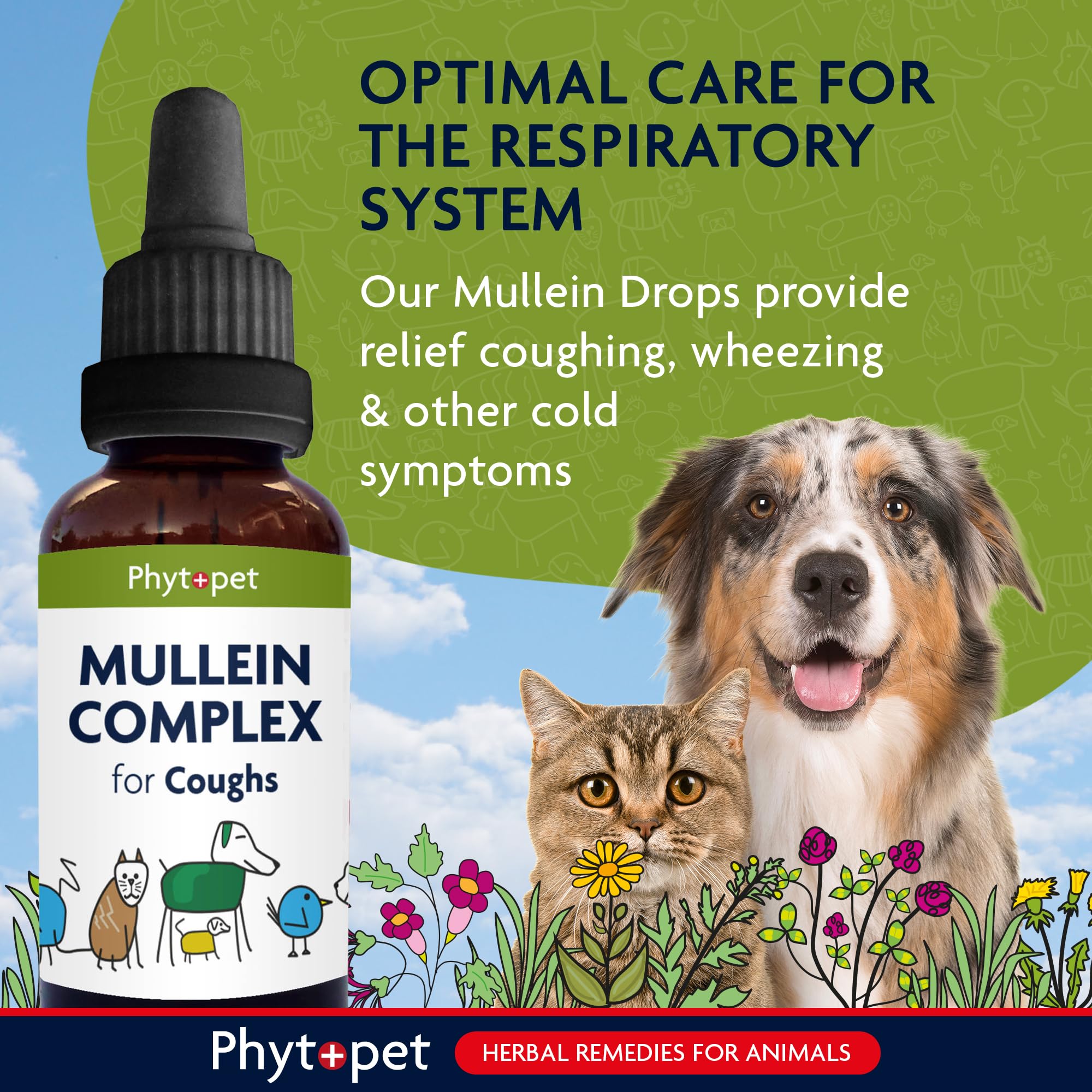 Phytopet Mullein Complex Herbal Supplement - 30ml Liquid | Respiratory Support | All Life Stages