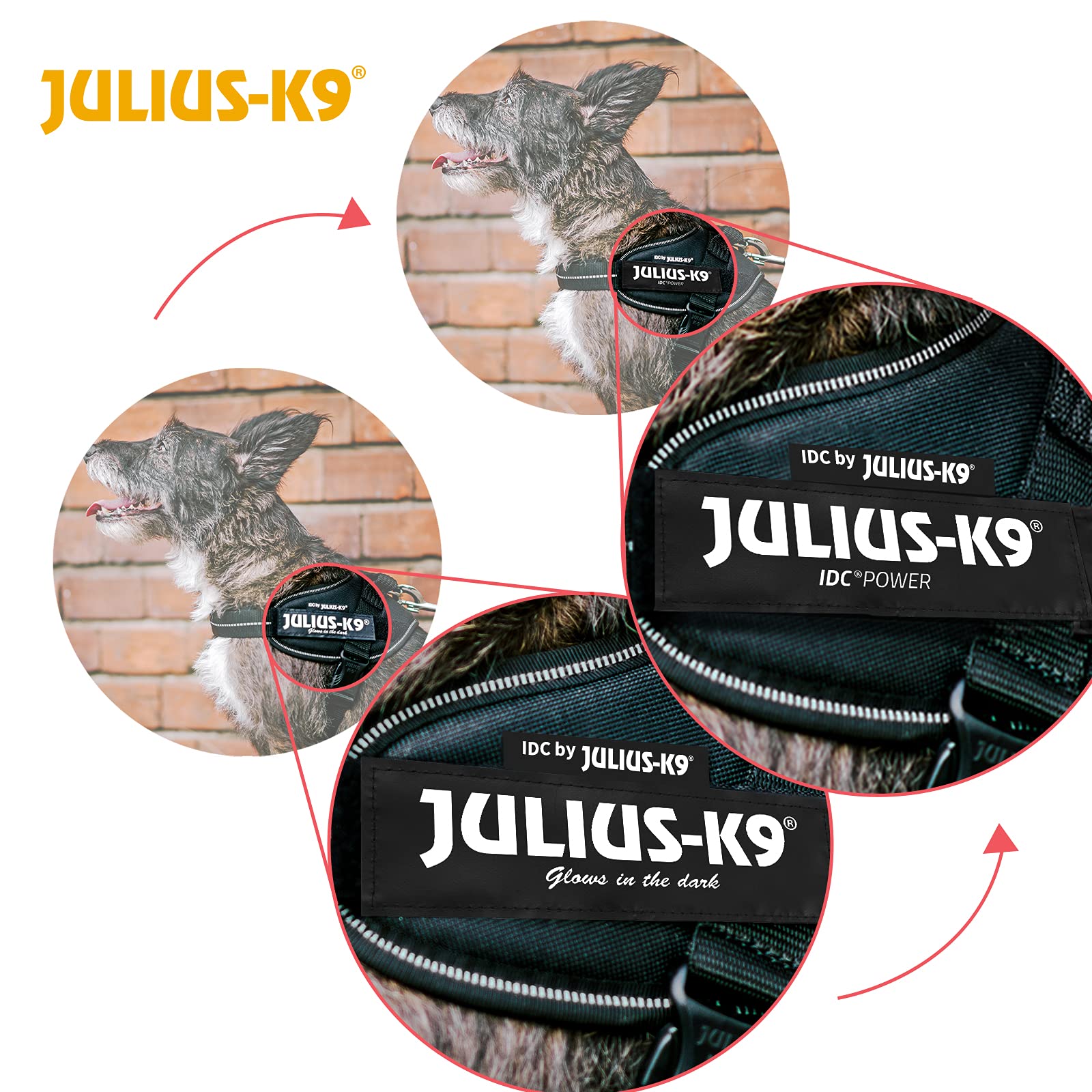 Julius-K9 IDC Powerharness Vest Harness - Camouflage | Chest 49-67 cm | Dog Weight 7-15 kg 5