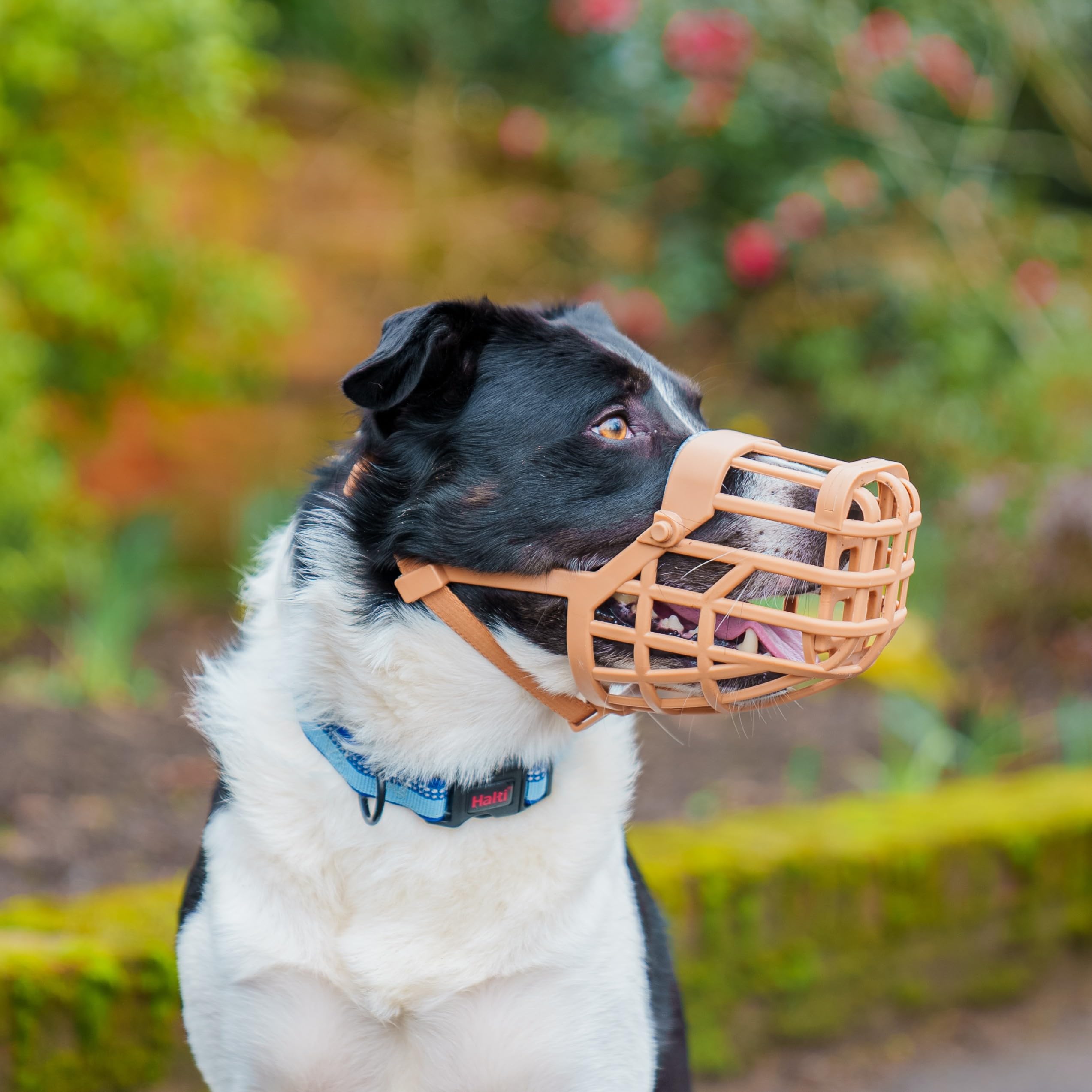 Baskerville Classic Basket Muzzle - Size 6, Brown, Prevents Biting & Scavenging