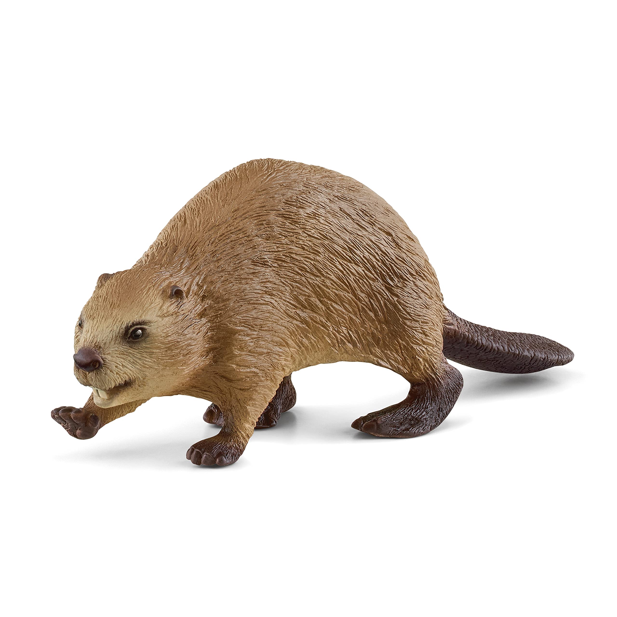 Schleich 14855 Beaver - Wildlife Animal Figure for Kids 3+ 1