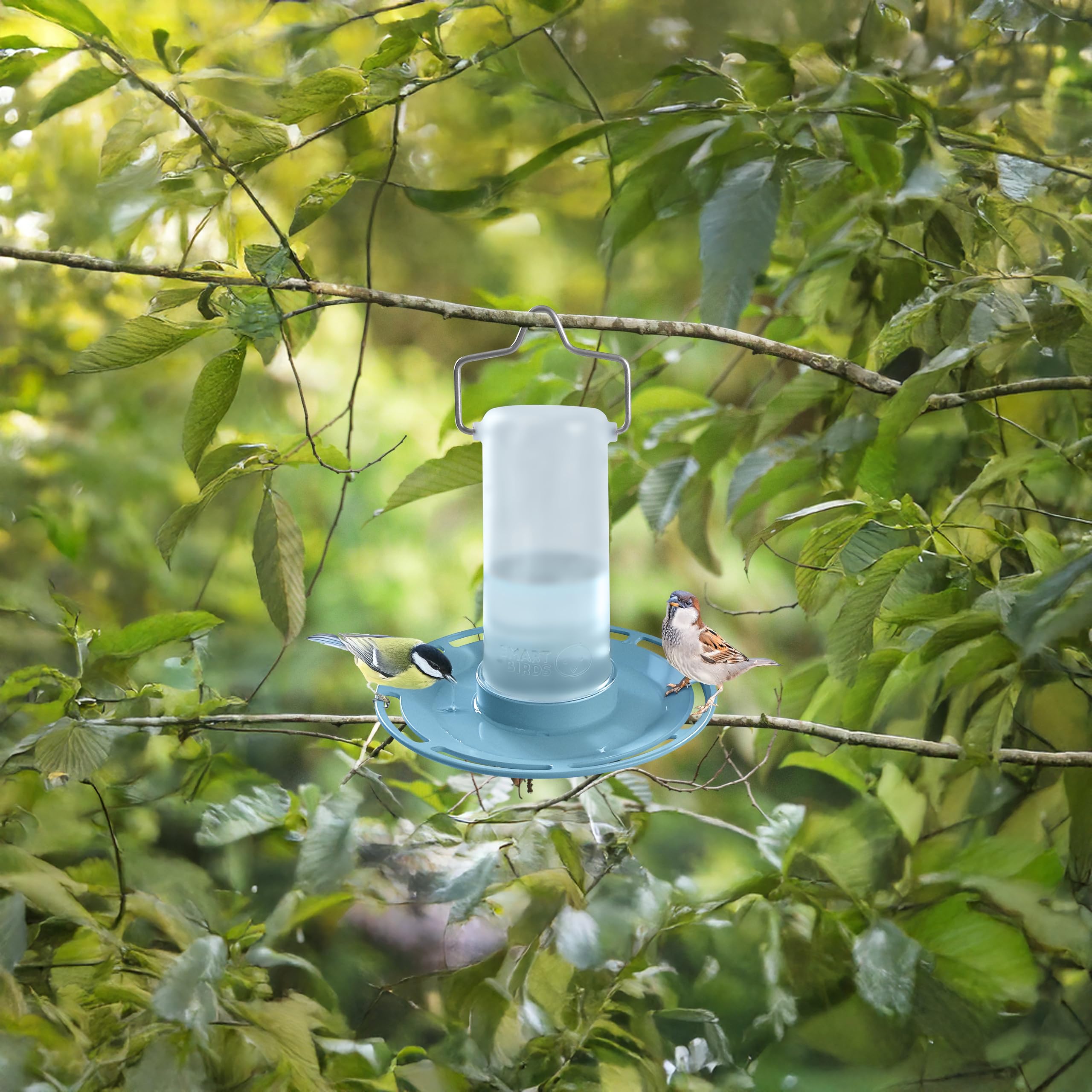 SWISSINNO Bird Waterer "Zug" - UV Resistant, Light Blue, Durable PC/ASA Plastic