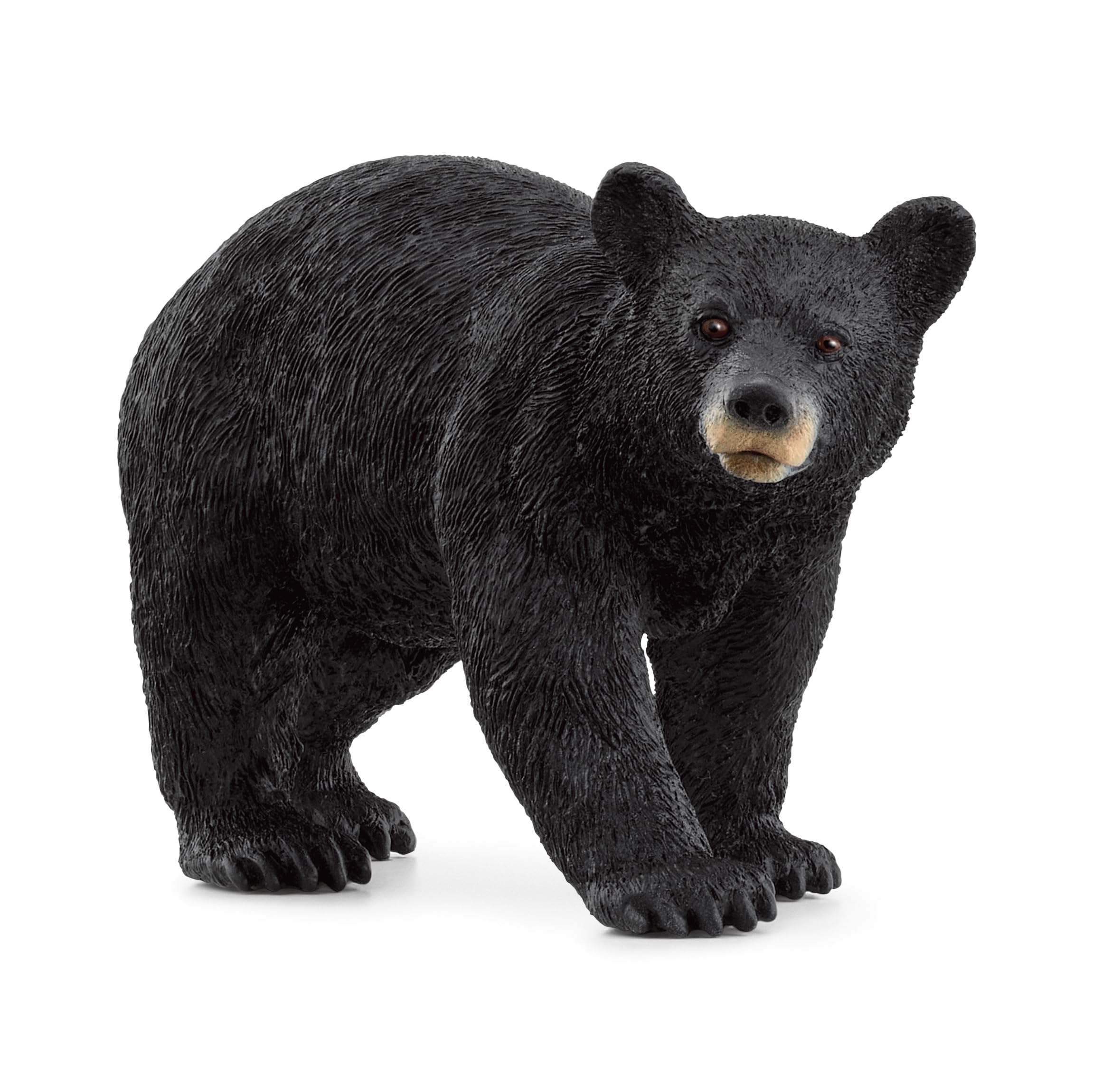 Schleich 14869 American Black Bear Figurine - Detailed Wildlife Toy for Ages 3+ 6
