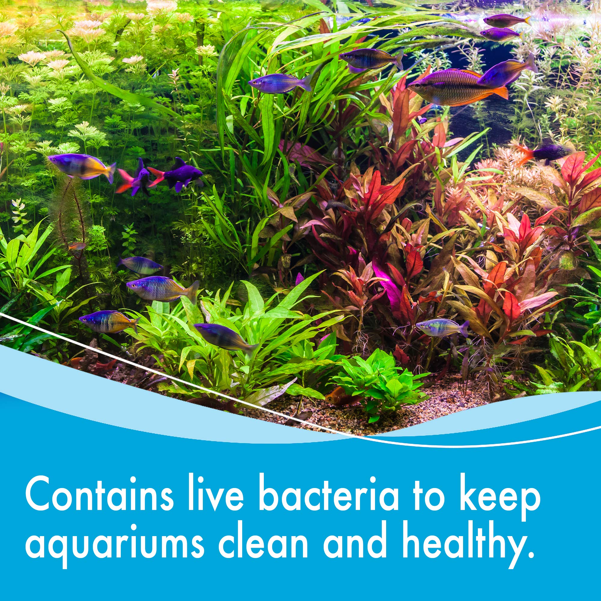 AQUARIAN Weekly Water Cleaner for Aquariums - Liquid Treatment, 473 ml (Pack of 1) 3