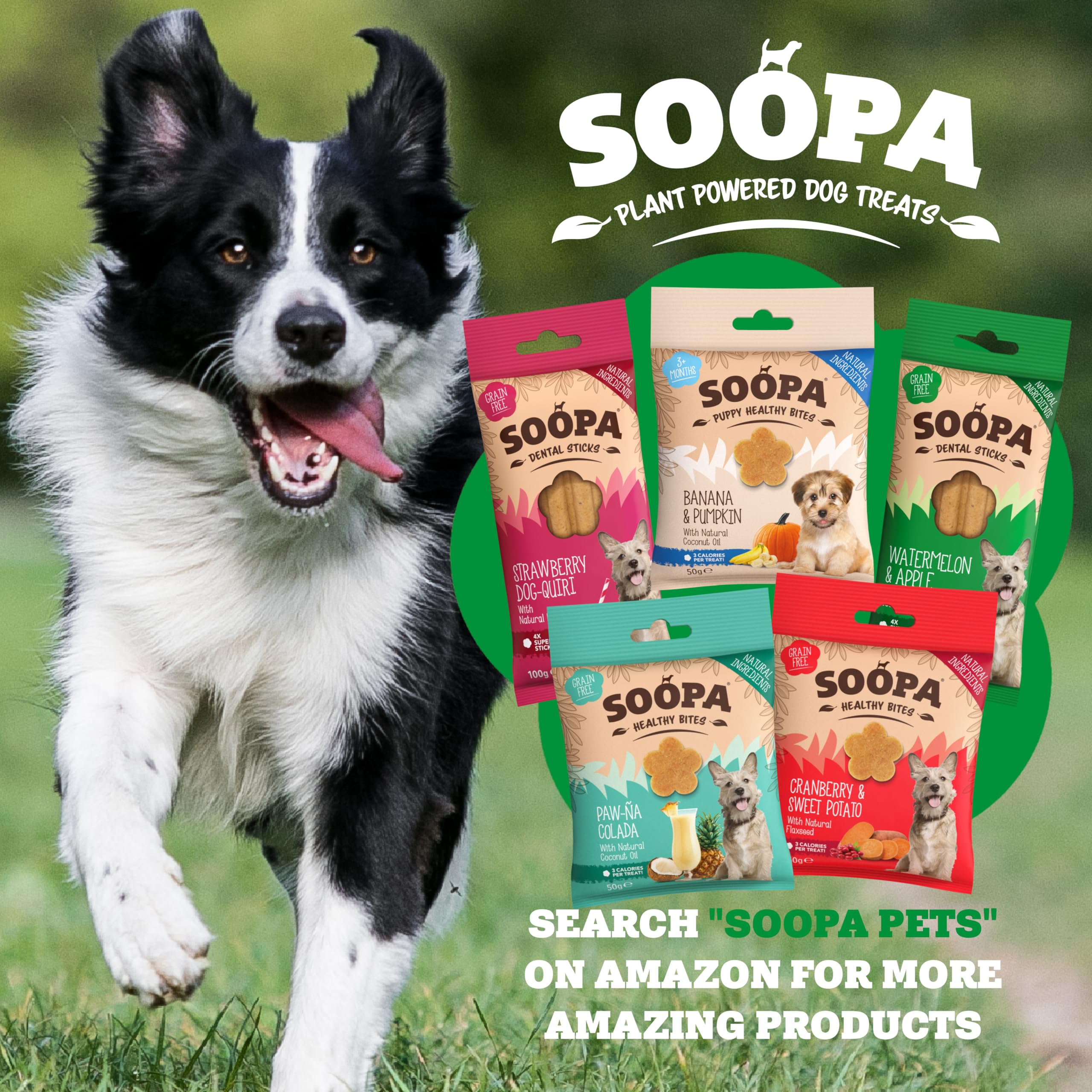 Soopa Watermelon & Apple Dental Sticks for Dogs - Hypo-Allergenic, Low Fat | 100g Bag 7