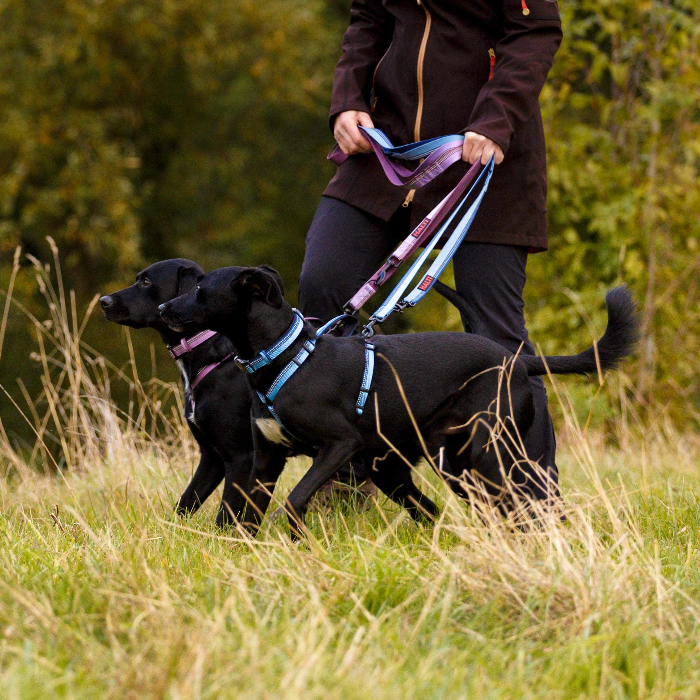 Halti Double-Ended Lead for Dogs - Large Size, Red, 2m Length | Multi-Use 4