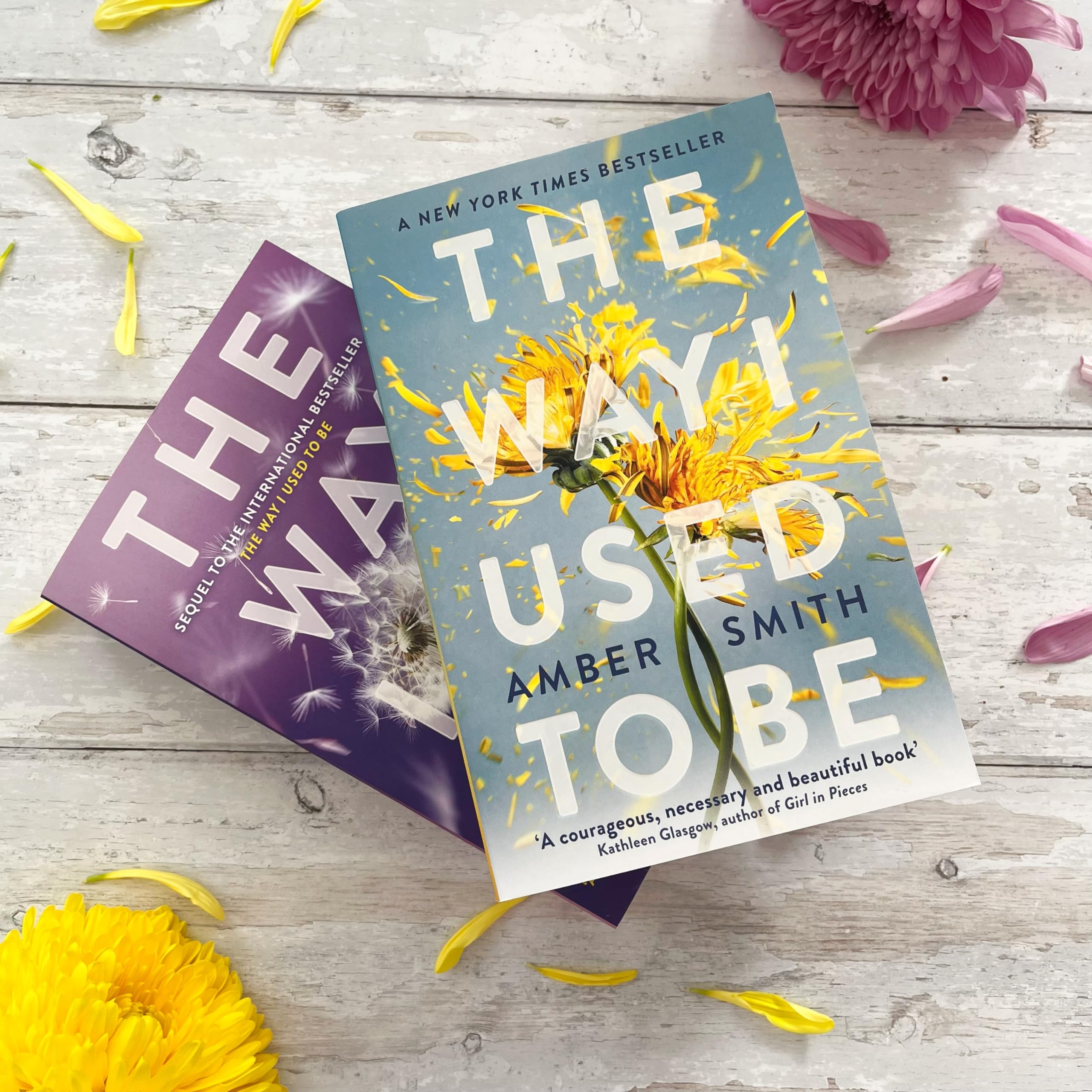 Amber Smith - The Way I Used to Be | Young Adult Literature & Fiction 6