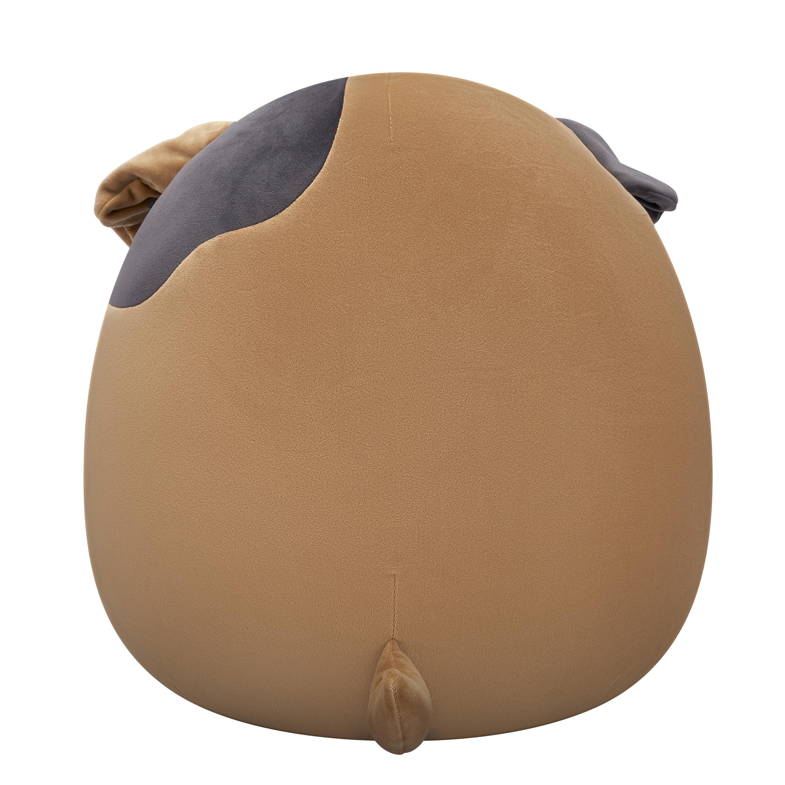 Squishmallows 16-Inch Loafer the Brown Bulldog Plush - Collectible Stuffed Animal 6