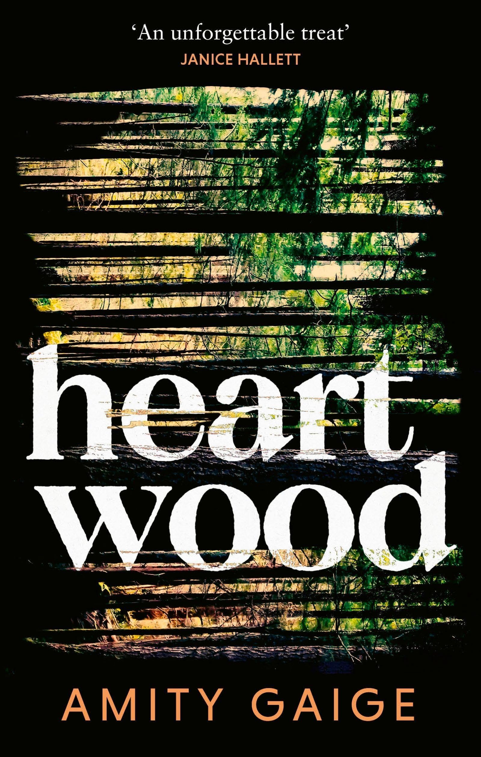 Fleet Heartwood by Amity Gaige | Mystery, Thriller & Suspense Paperback 1