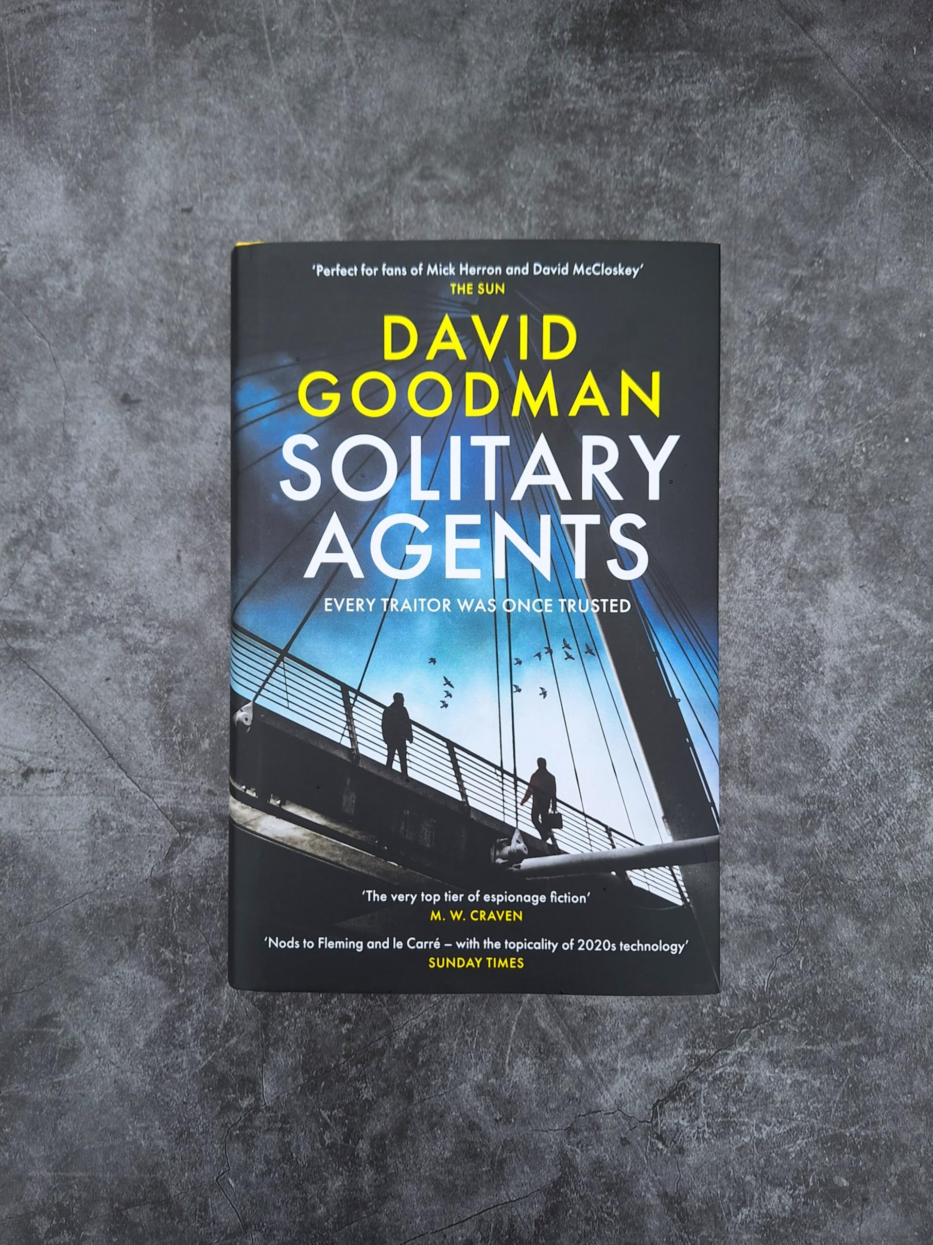 Headline Home Solitary Agents by David Goodman | Gripping Spy Thriller Hardcover 2